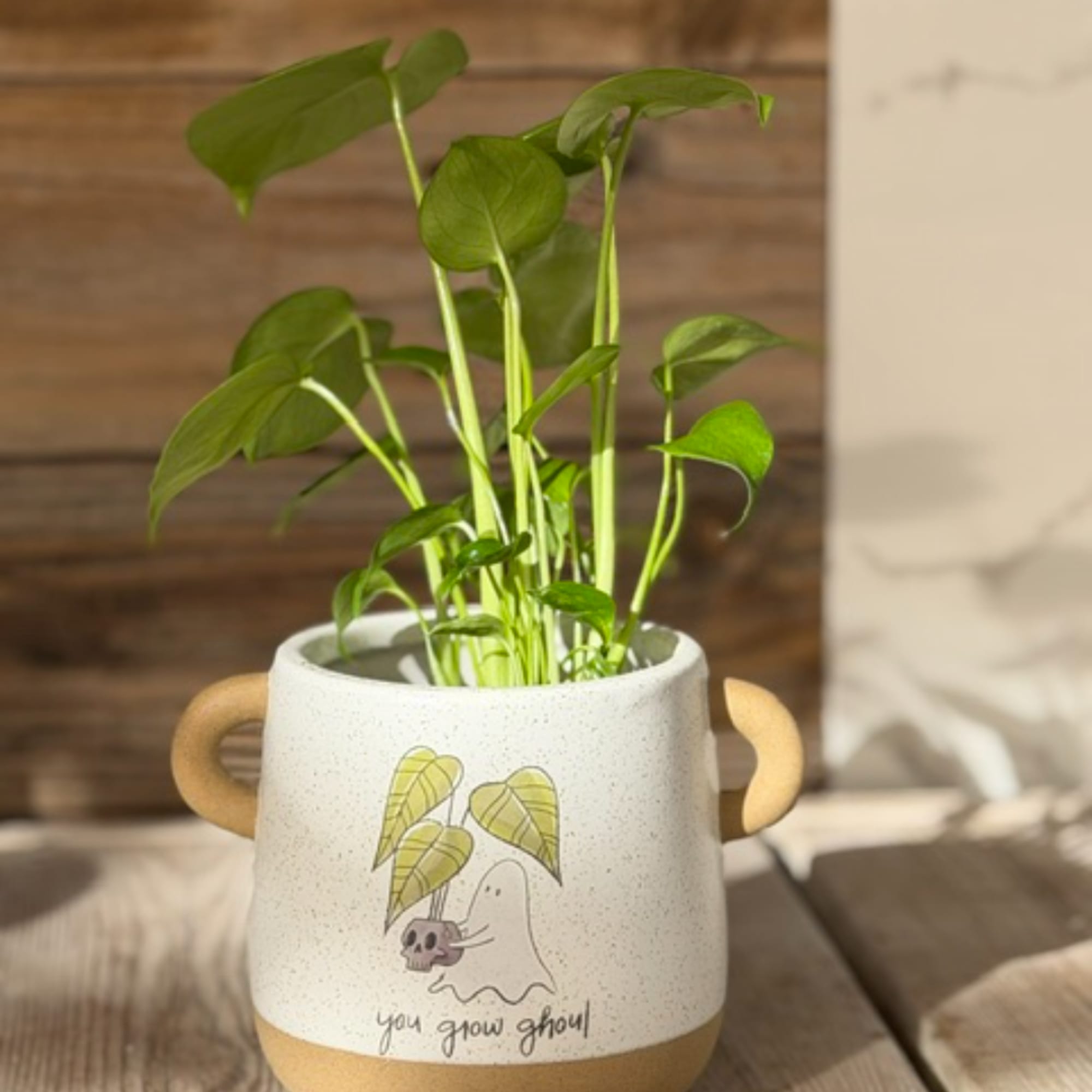 Potted green plant in a speckled ceramic mug with a ghost graphic