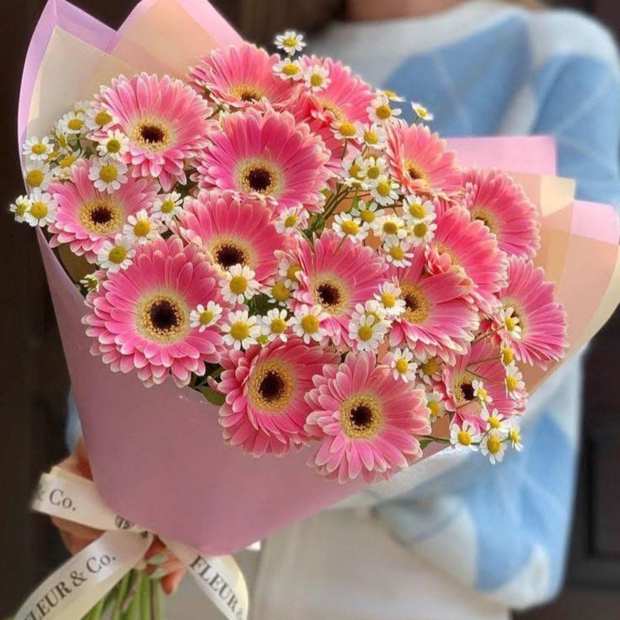 Bouquet of pink gerbera daisies and small white daisies wrapped in pastel paper