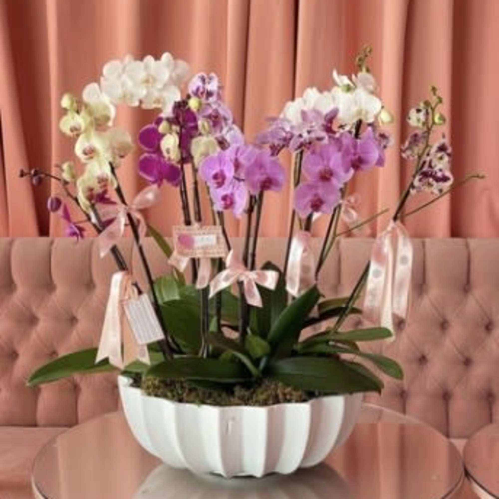 Potted orchids in white and purple arranged in a white bowl planter
