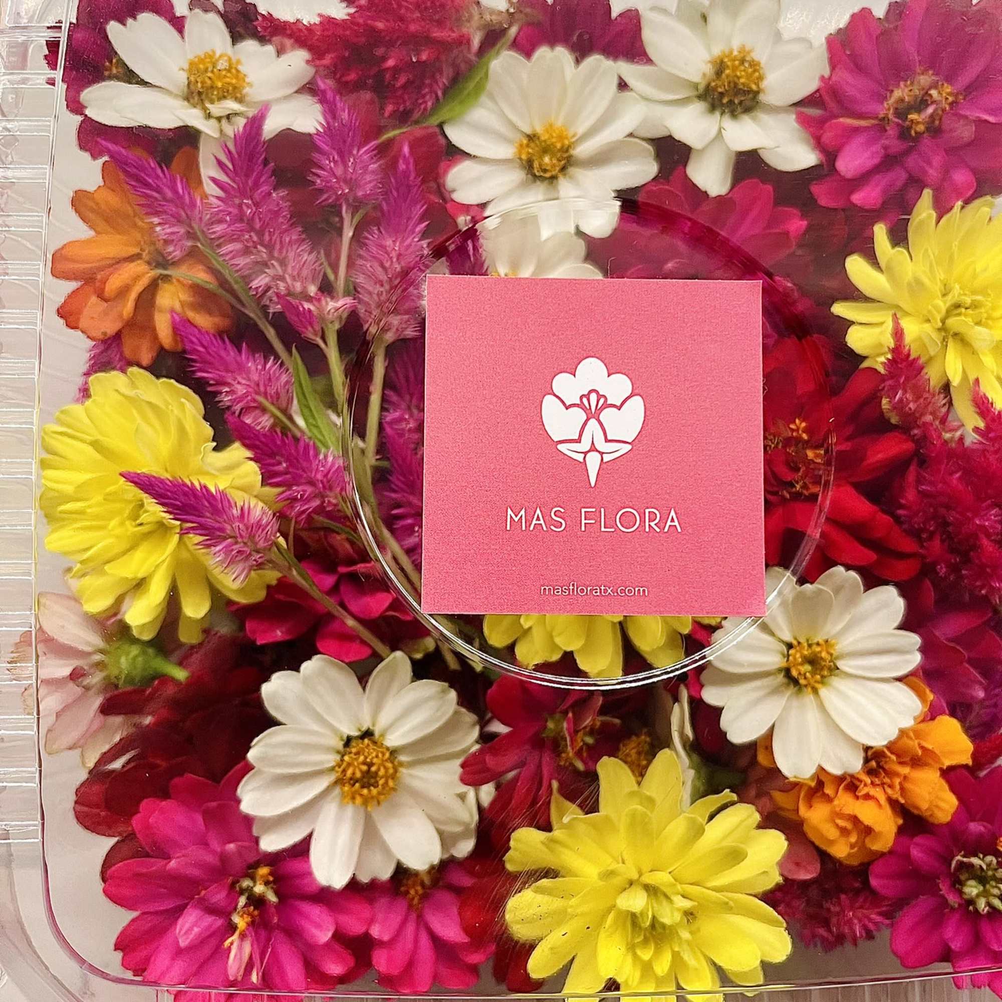 Assorted colorful flowers in a clear plastic gift box
