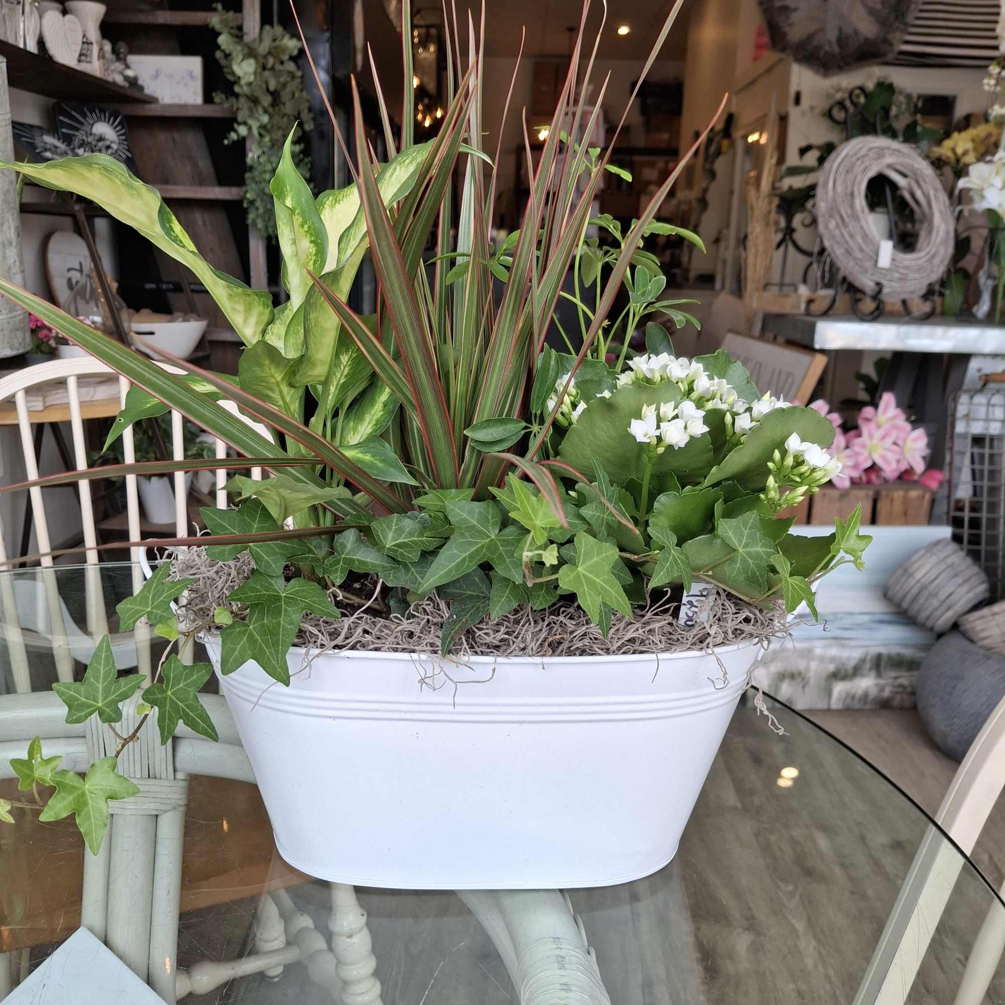 Mixed green planter with white flowers in a white container