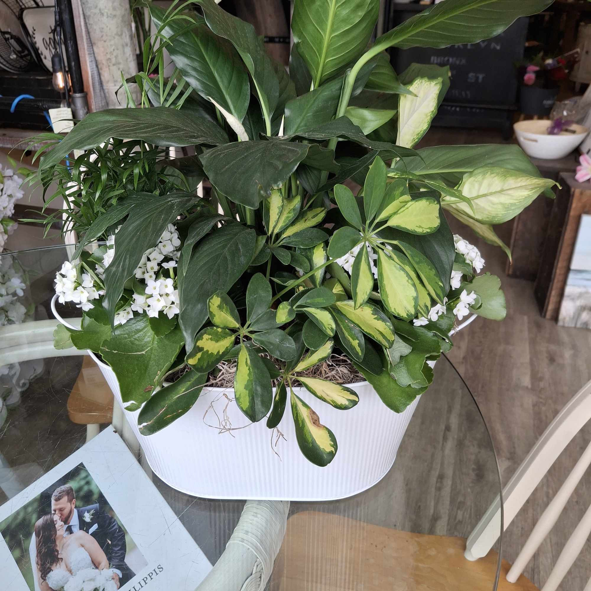 White planter filled with assorted green houseplants and small white flowers