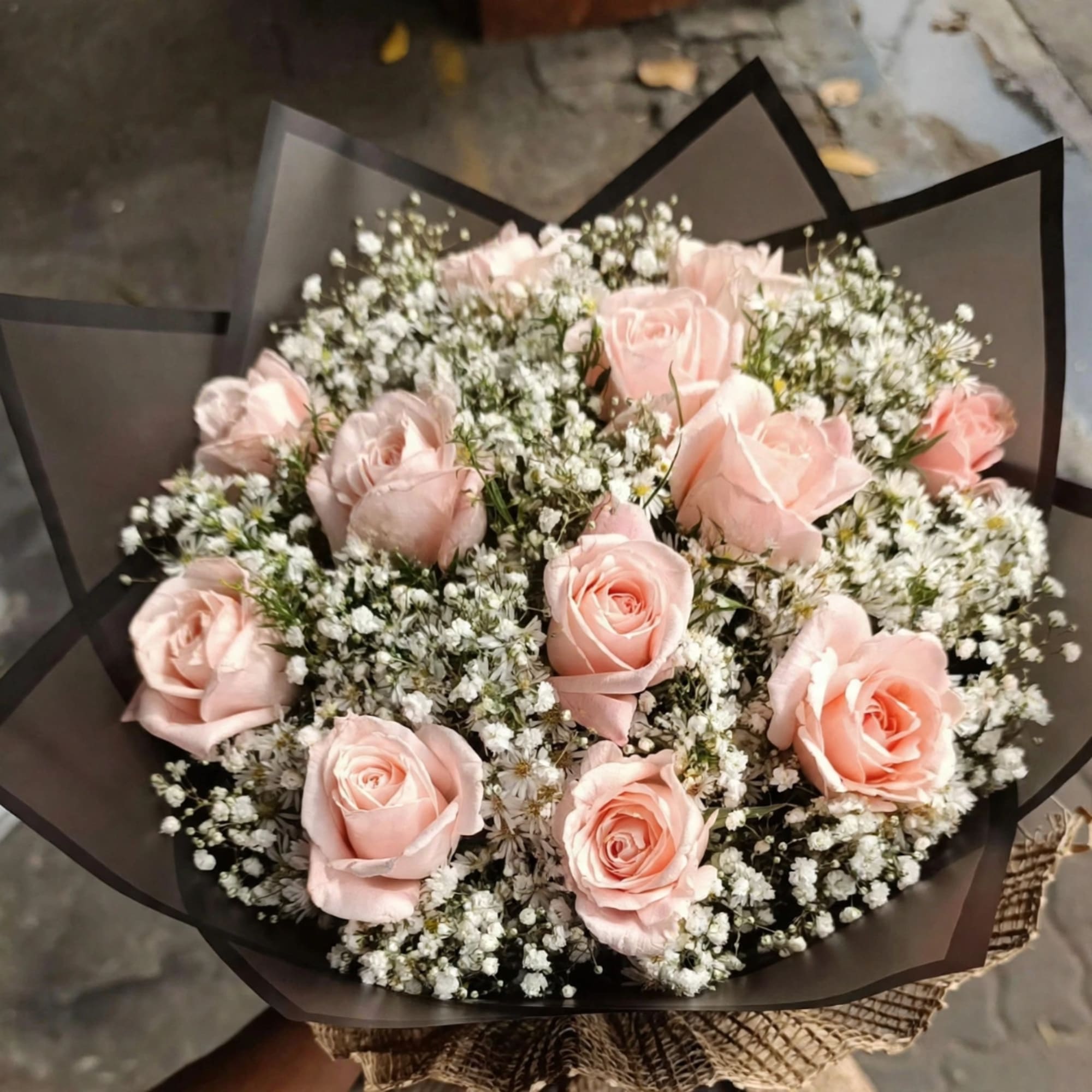 Bouquet of pale pink roses with white baby's breath in dark wrap