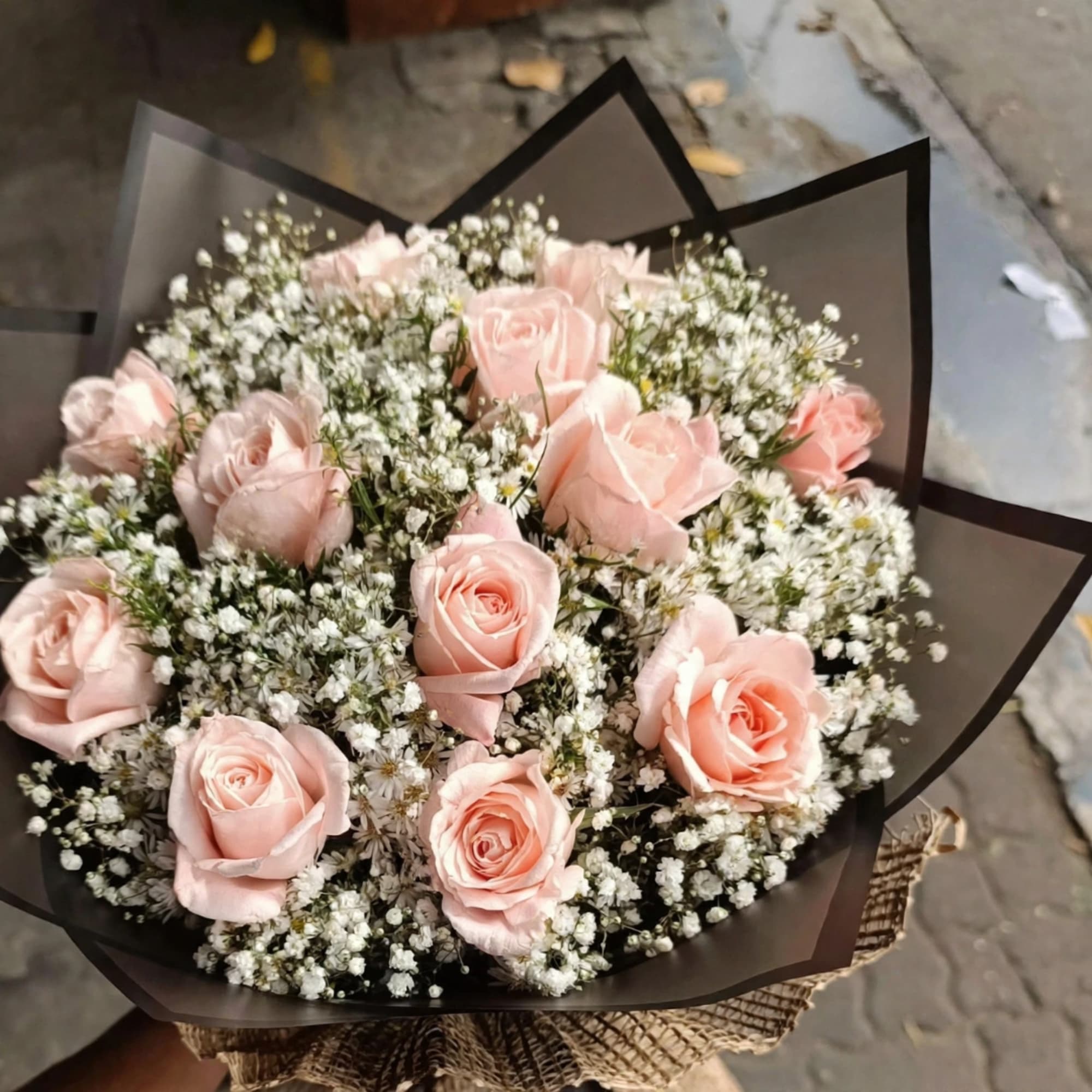 Bouquet of pale pink roses with white baby's breath in dark wrap