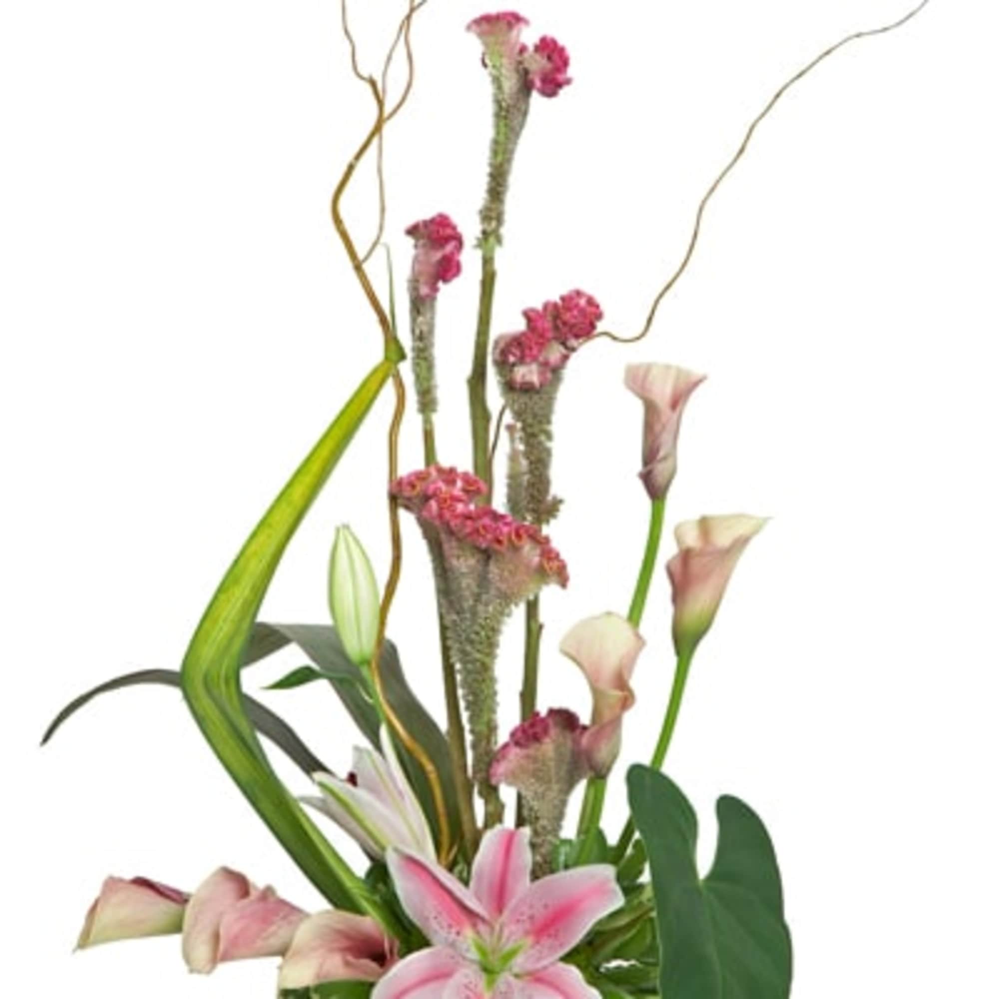 Looking for an original, all-purpose display? Send this medley of unique, pink-hued Looking for an original, all-purpose display? Send this medley of unique, pink-hued