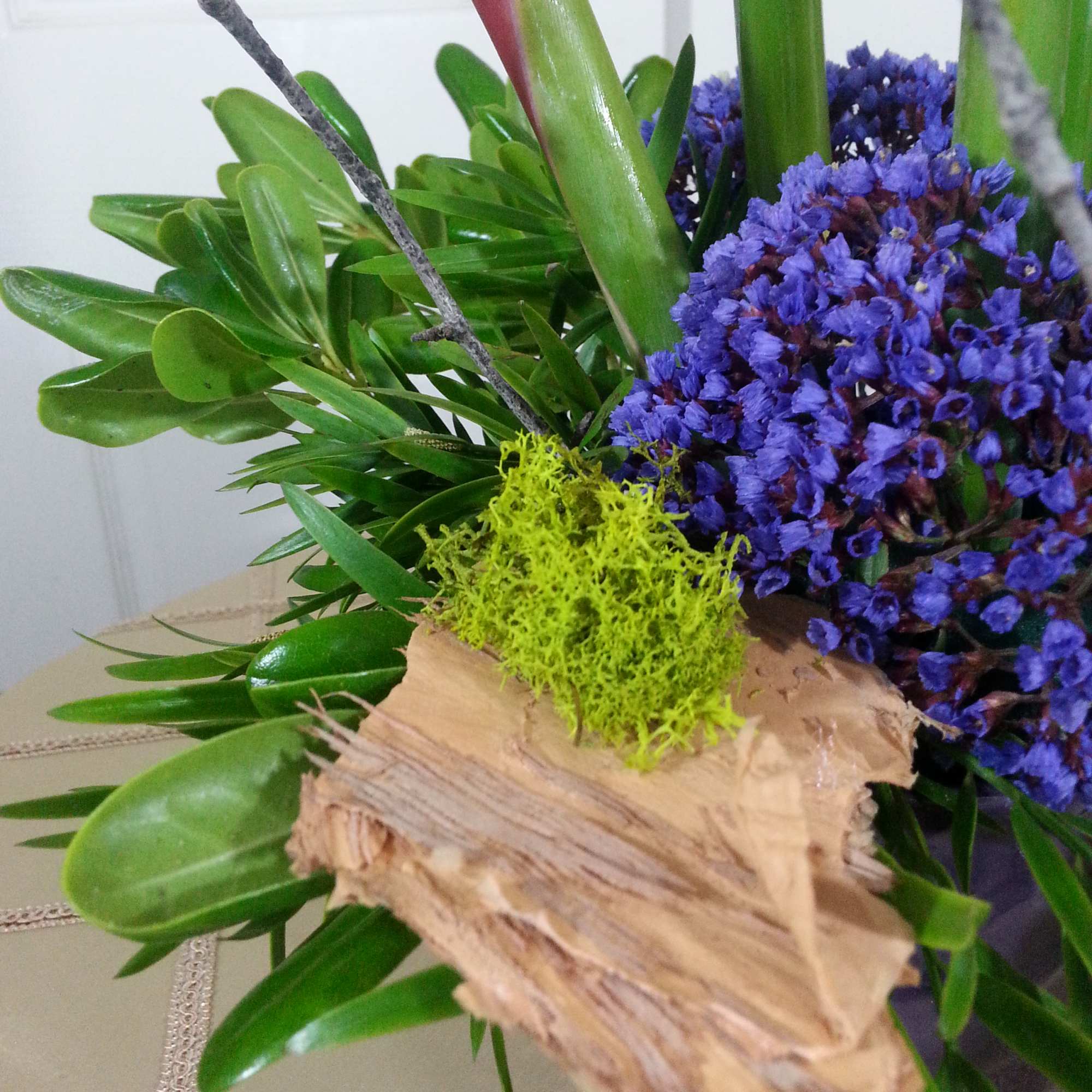 2 Bird of Paradise make a statement on their own.  With