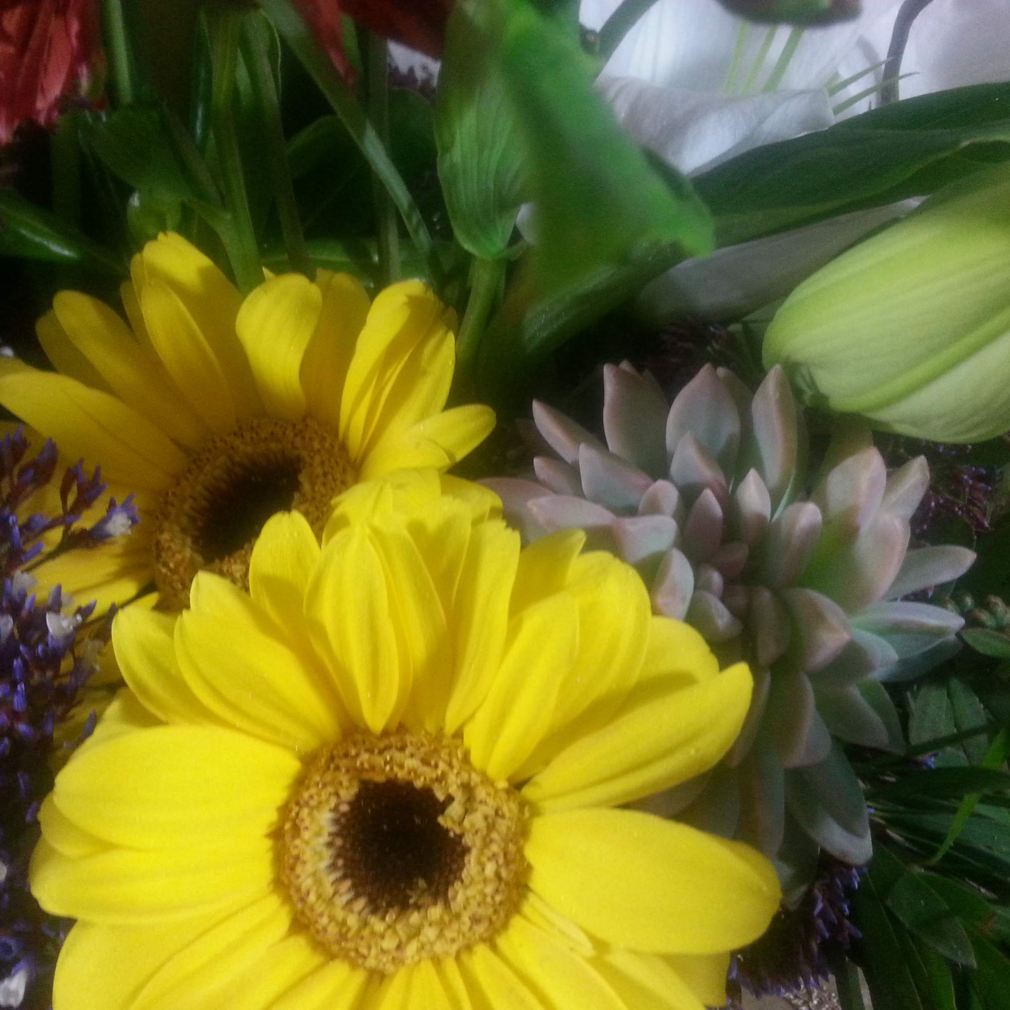 Light, airy, colorful spring arrangement for any time of the year. 