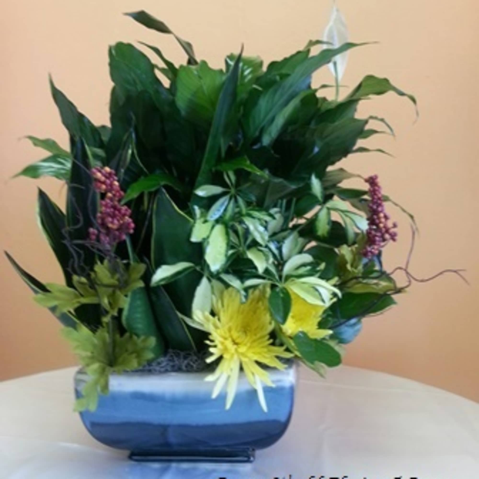 Enlighten someone&#039;s day with the gorgeous vase of blooming vibrancy