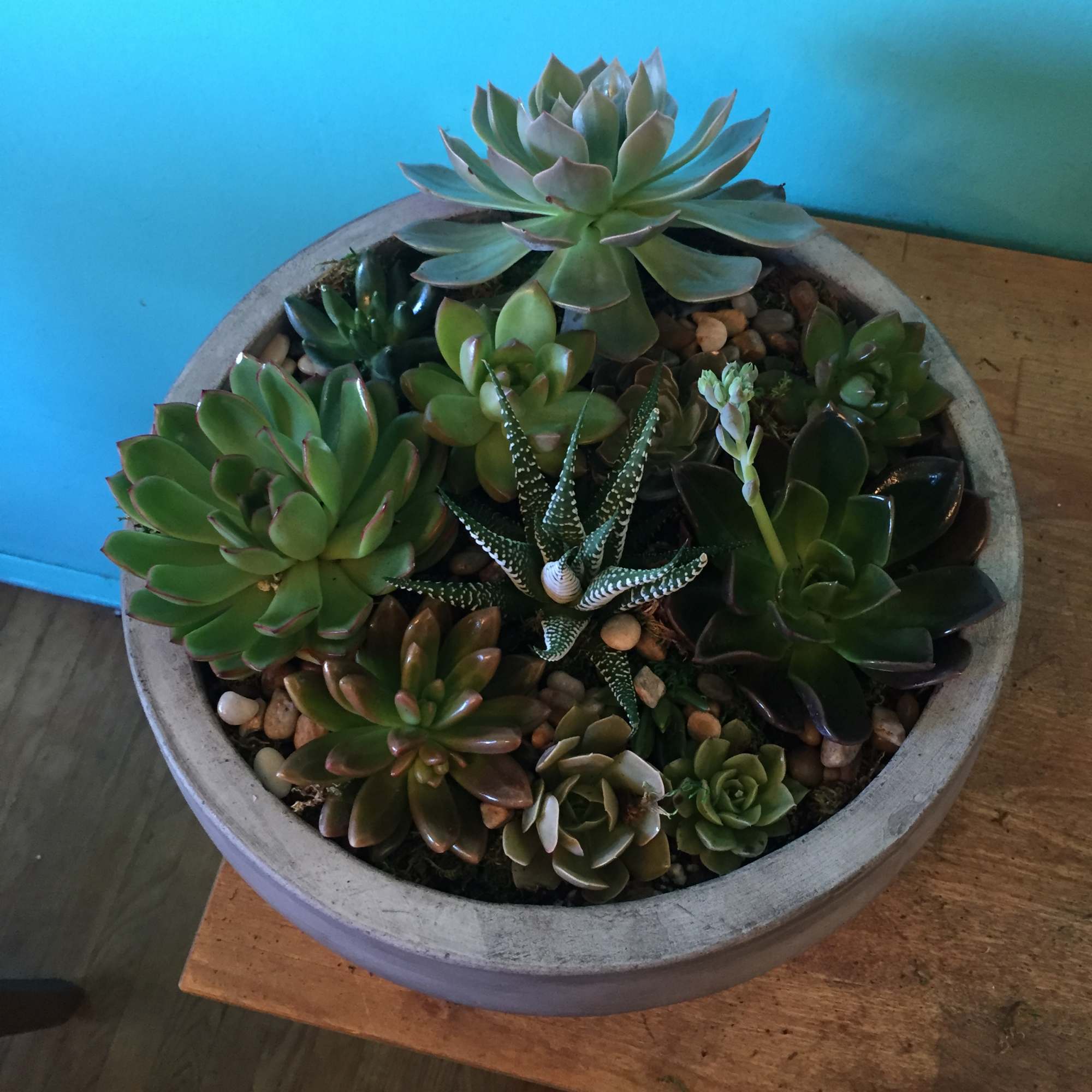 This is a stunning and large gift of thoughtfully arranged and curated