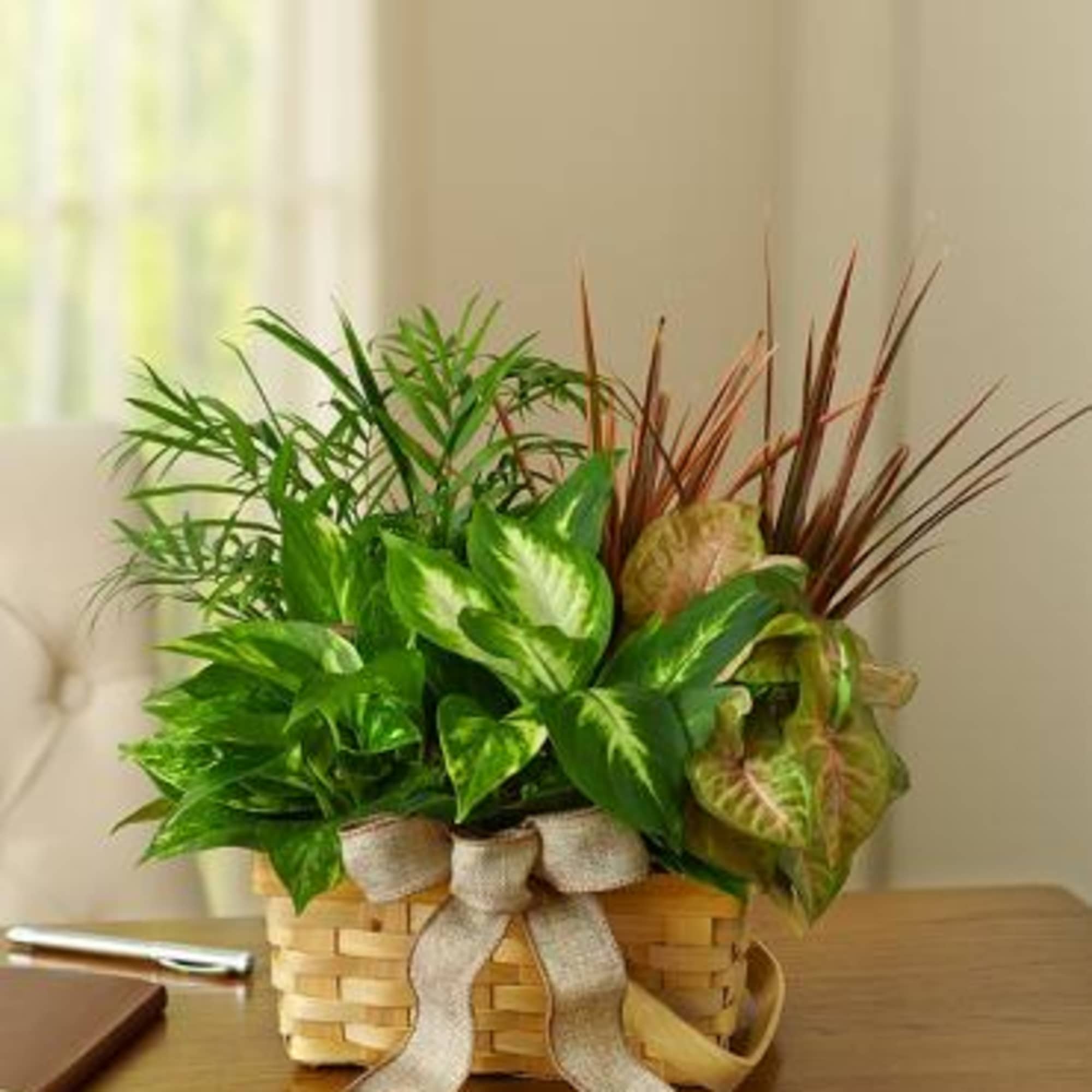 Stunning varieties of fresh green plants are used to create our classic Stunning varieties of fresh green plants are used to create our classic