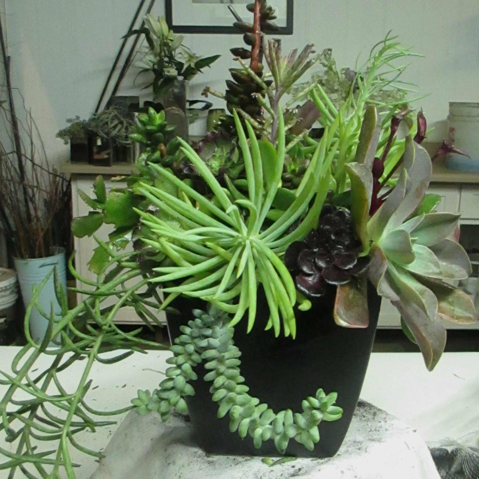 You learn from a professional how to design your own master piece