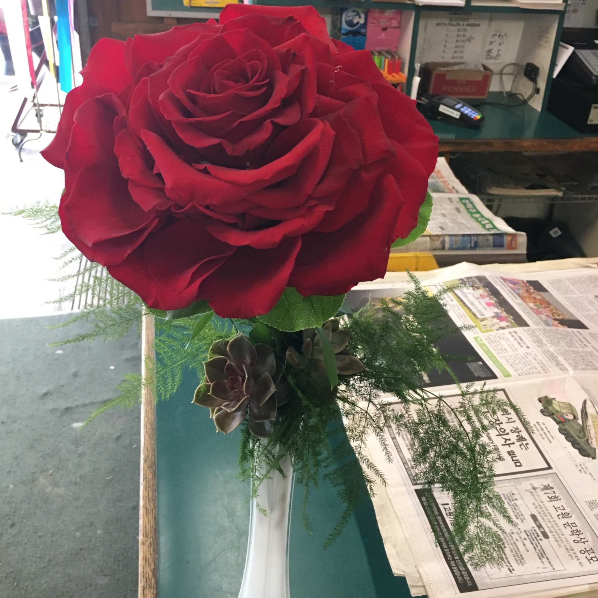 Roses, hydrangeas, cymbidiums, etc.