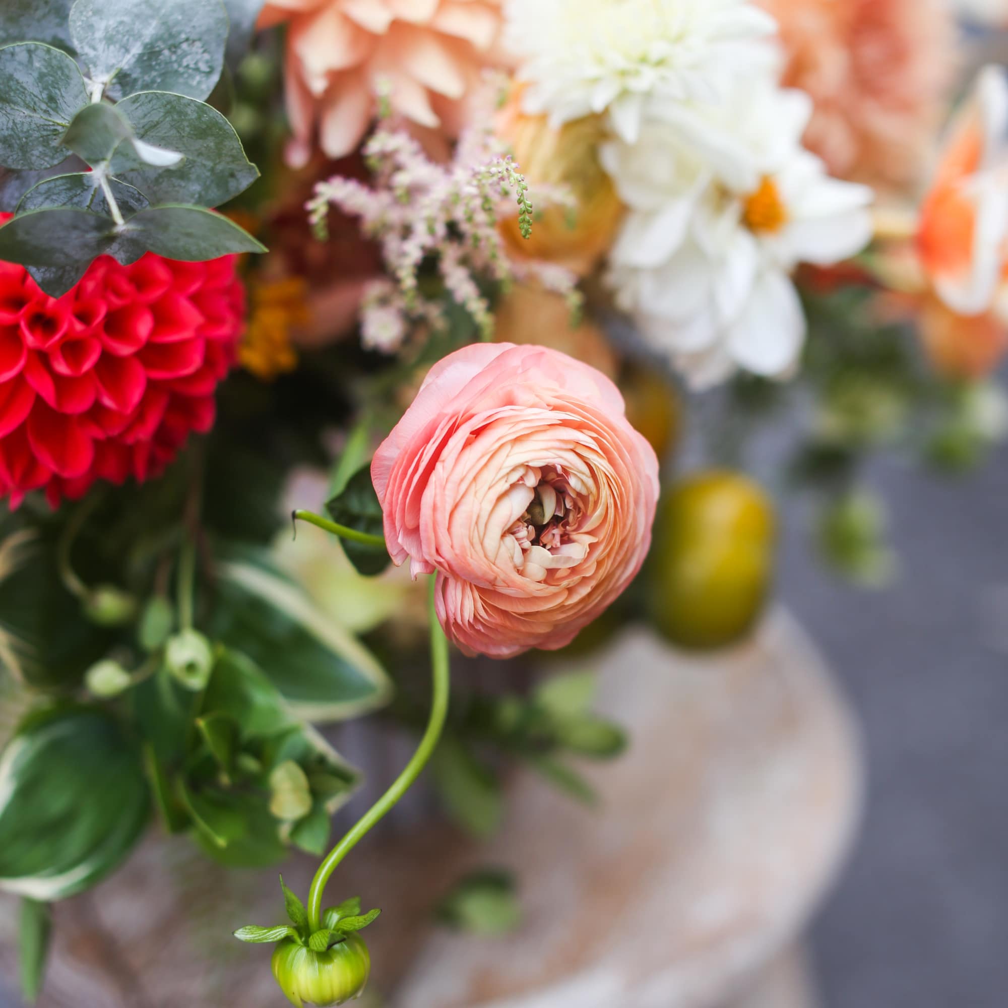 Contact us anytime for our Designer's Choice selections.  