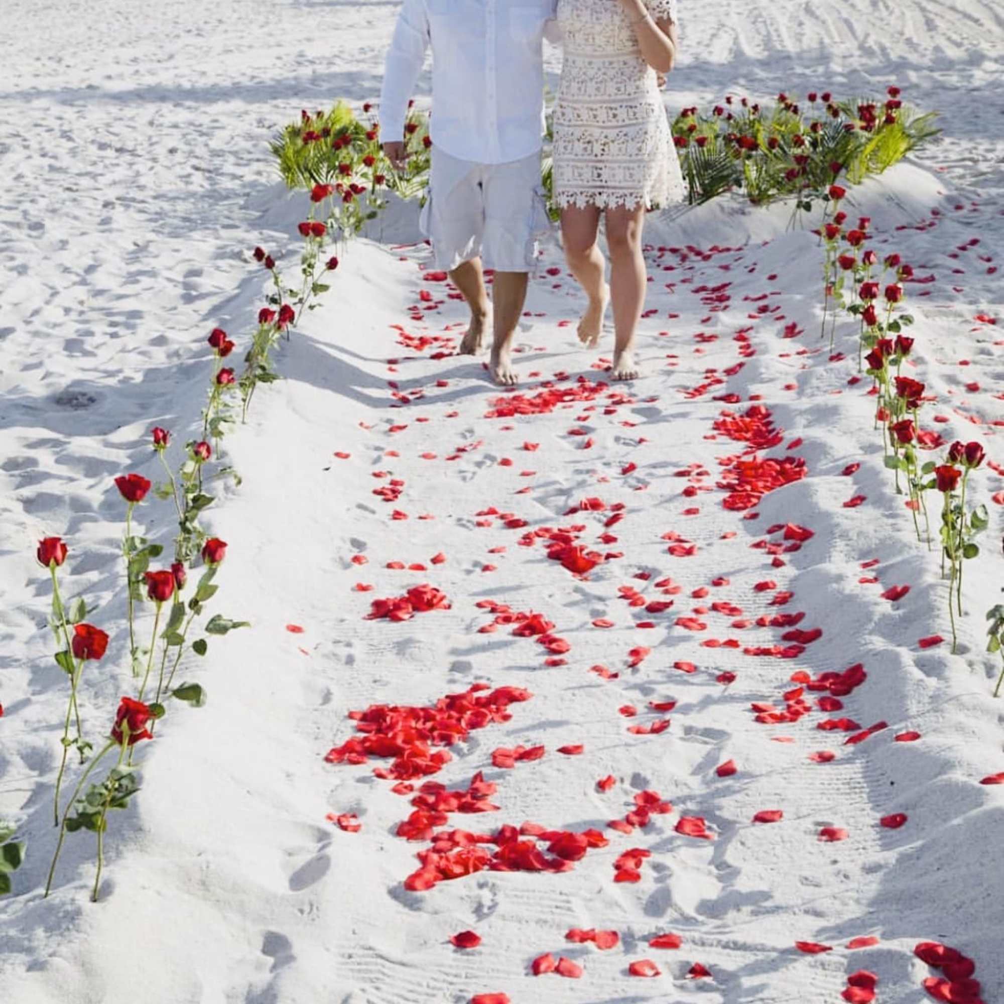 Package includes 100 fresh roses, building from the sand a heart and