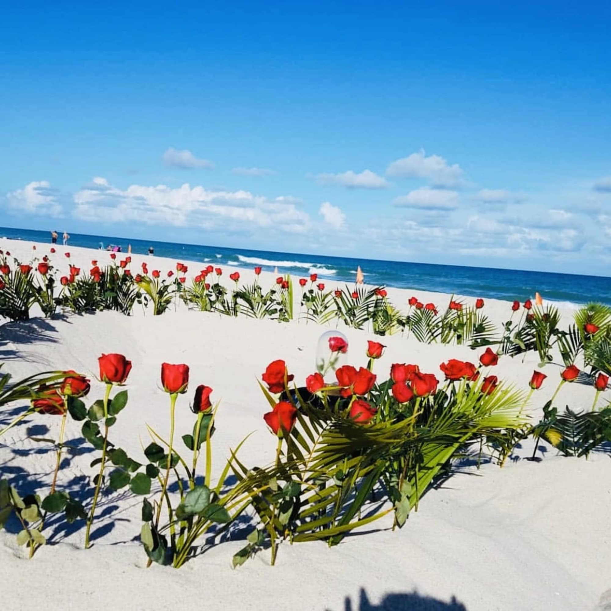 Package includes 100 fresh roses, building from the sand a heart and