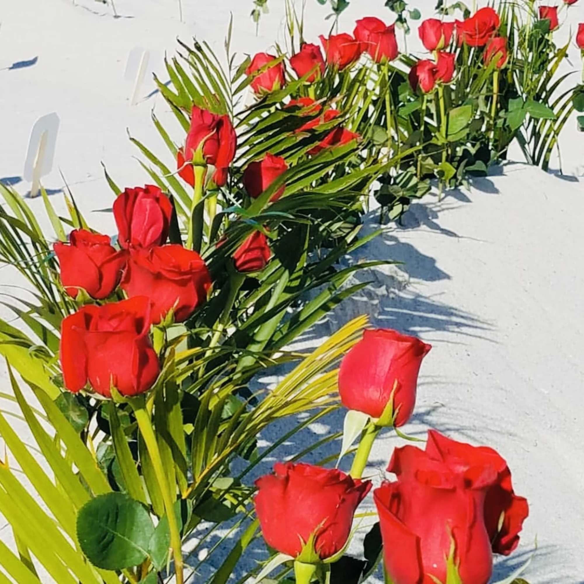 Package includes 100 fresh roses, building from the sand a heart and