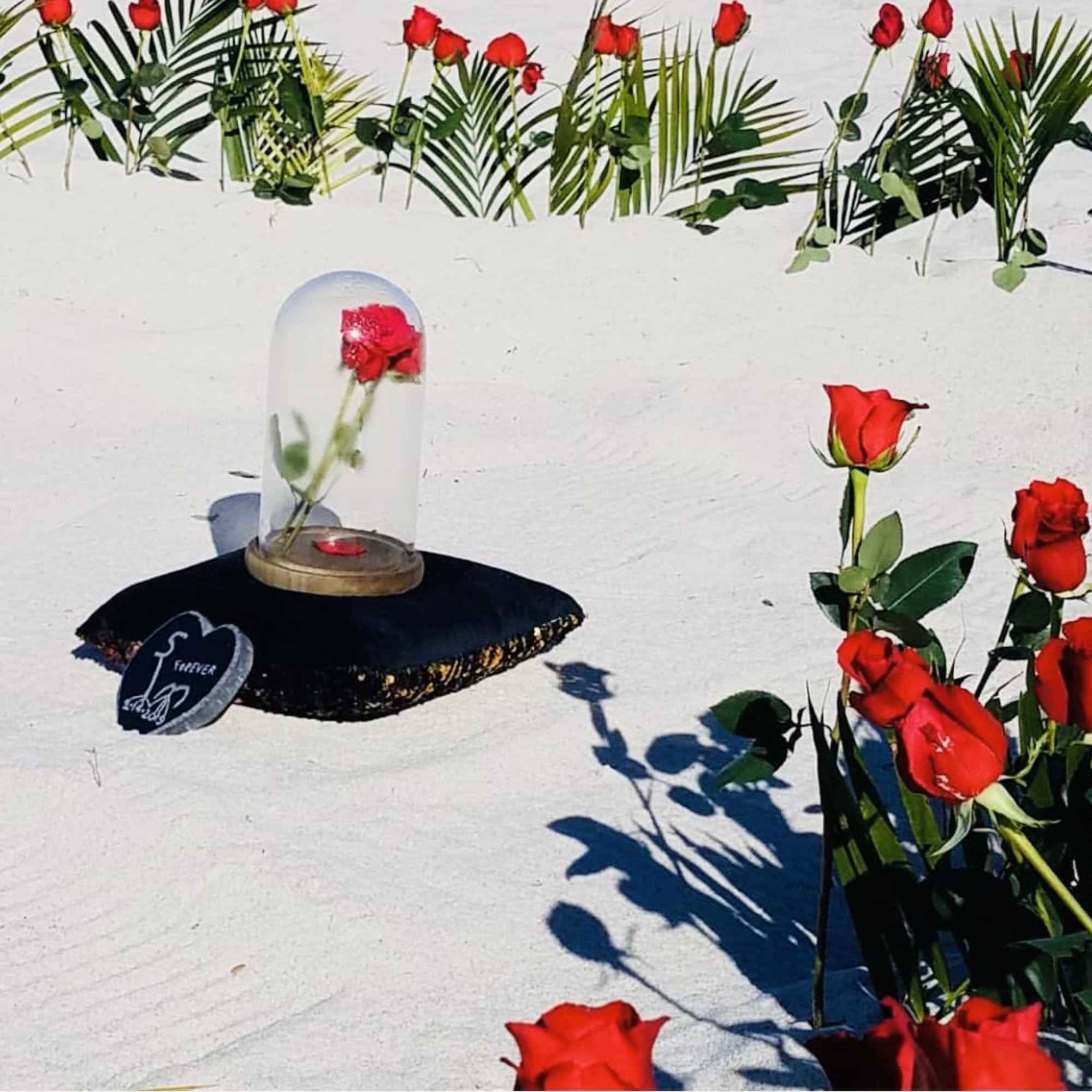 Package includes 100 fresh roses, building from the sand a heart and