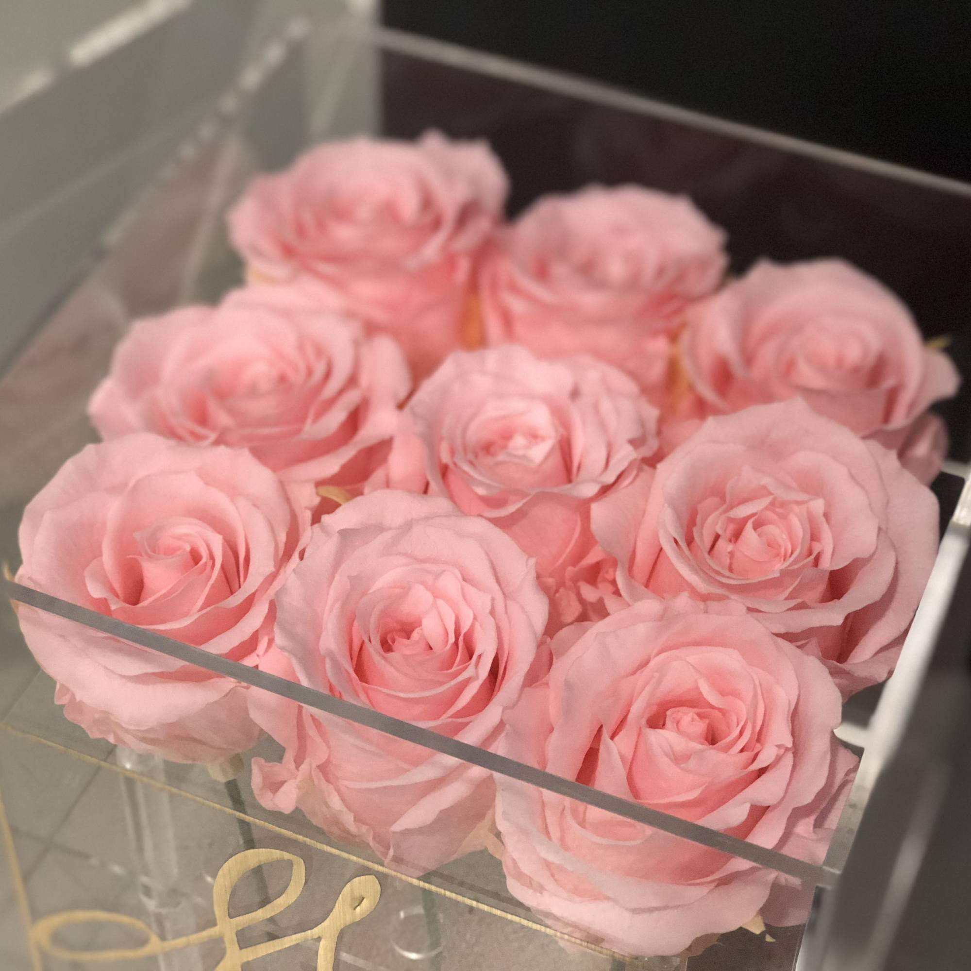 We are excited to introduce you to our &quot;Flora Collection&quot; which is