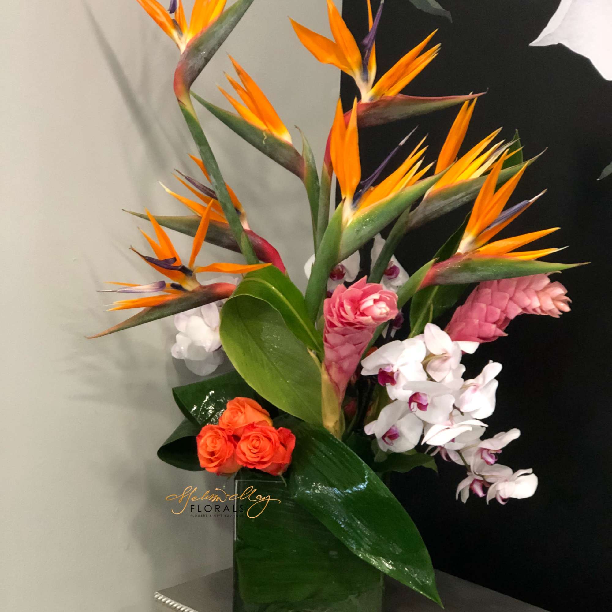 The island  of all beautiful memories that you will never especially