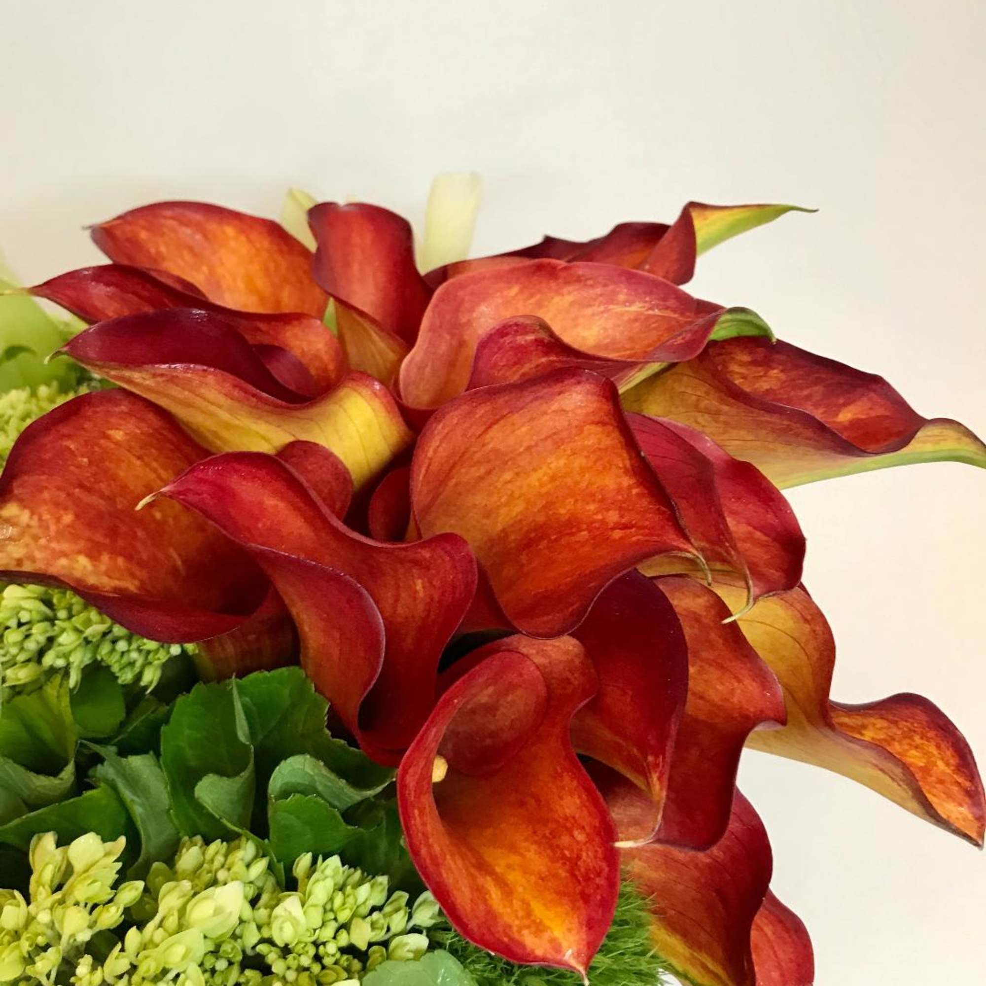 vibrant callas surrounded by multiple textural elements of orchids, green hydrangea, and