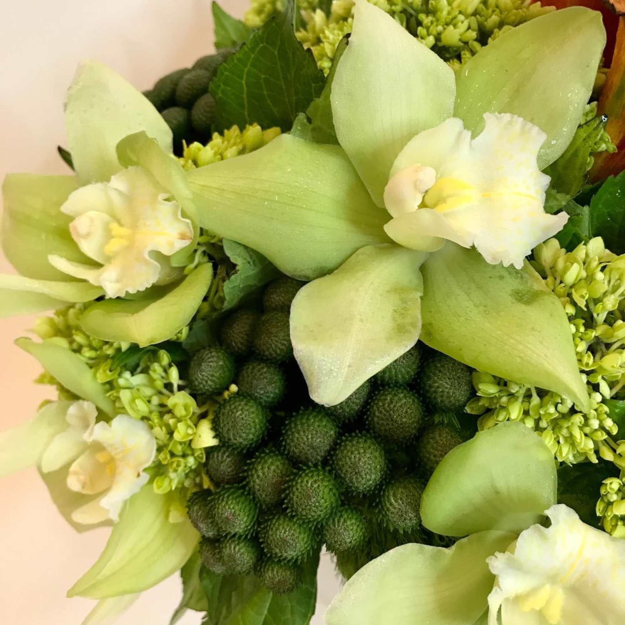 vibrant callas surrounded by multiple textural elements of orchids, green hydrangea, and