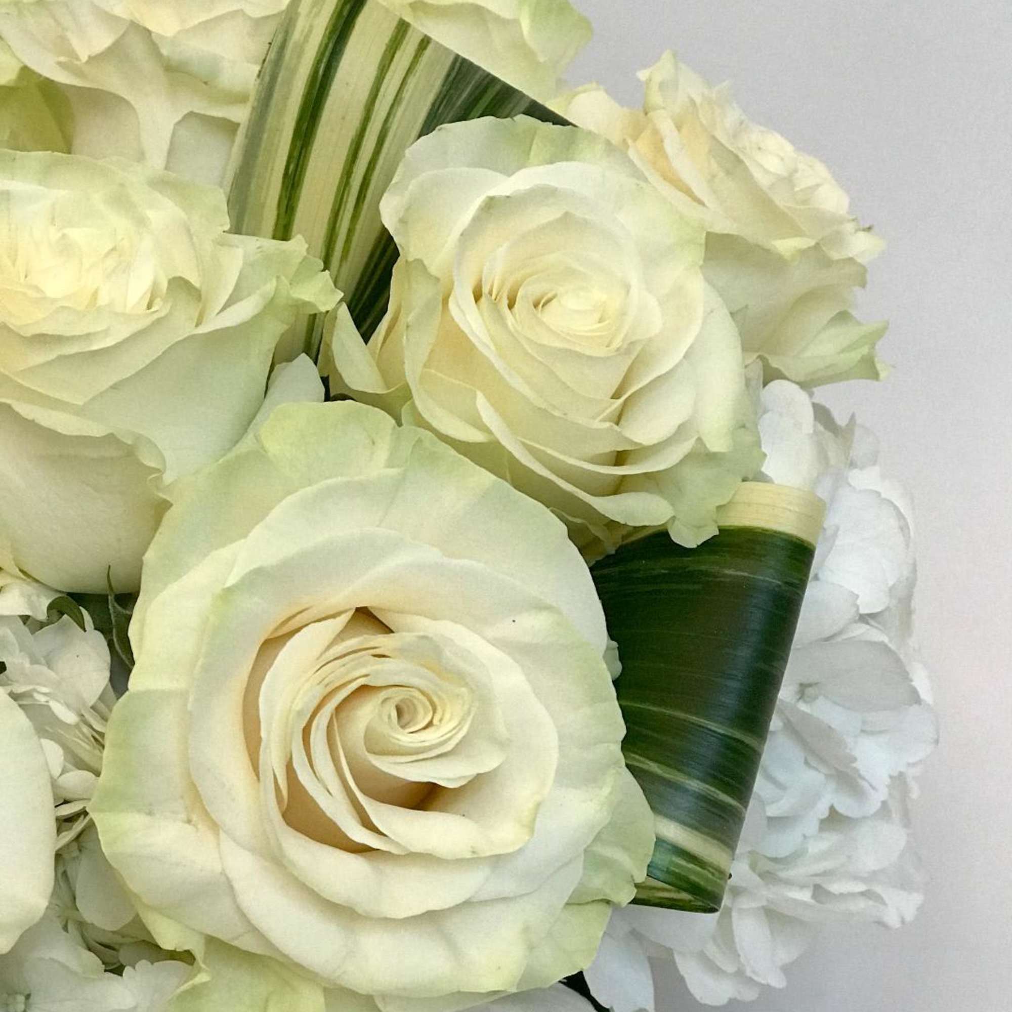 Exquisite white Mondial roses with hydrangea and aspidistra leaves
