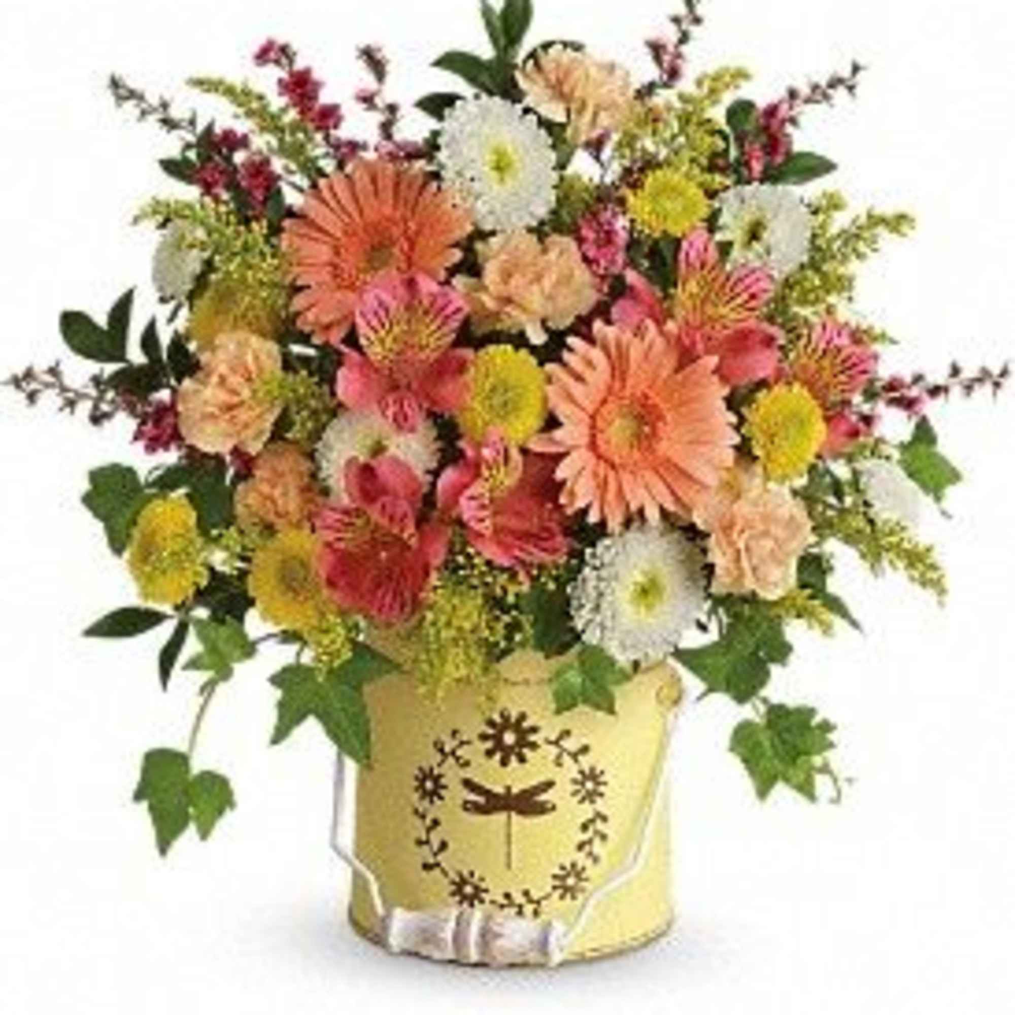 Country spring Country spring