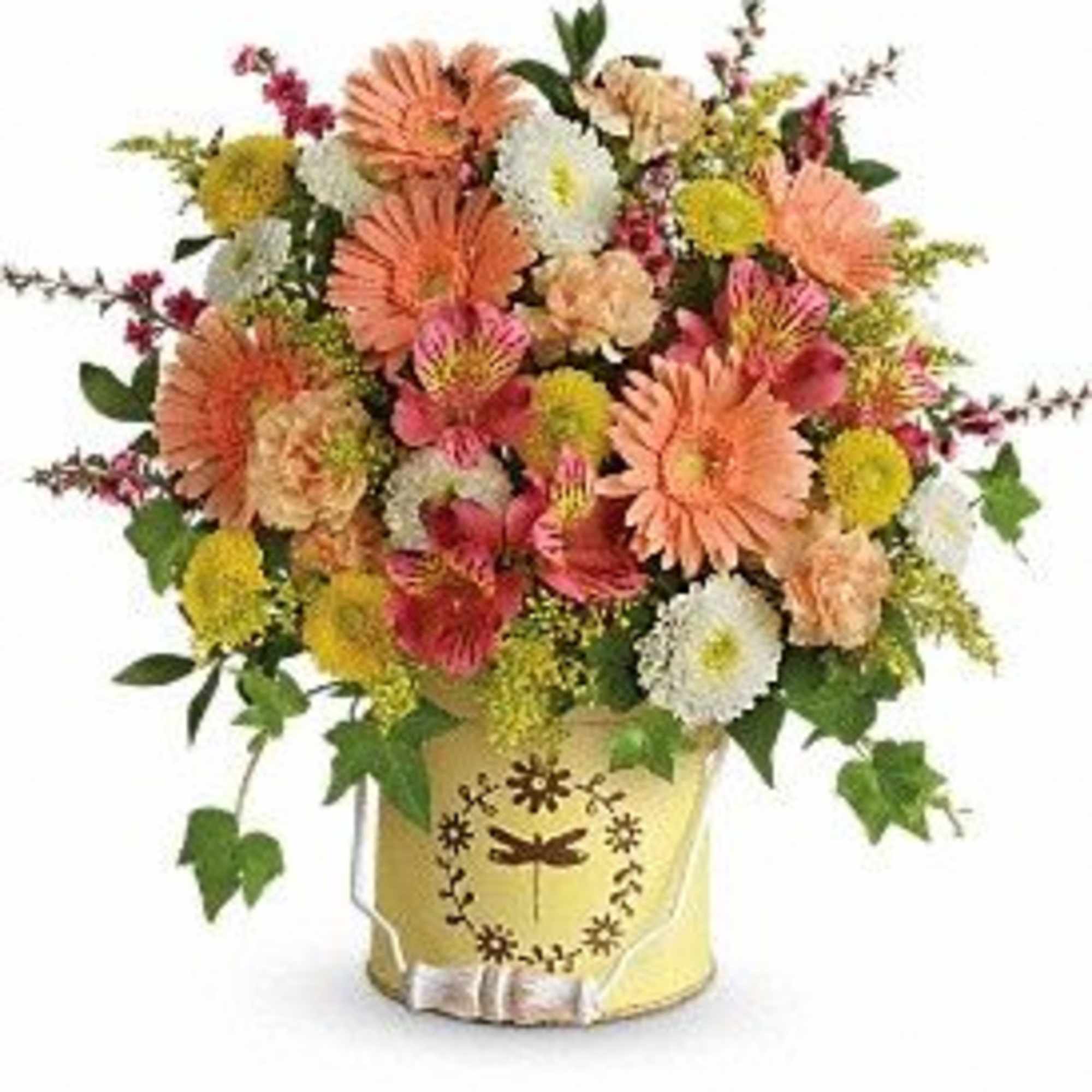 Country spring Country spring