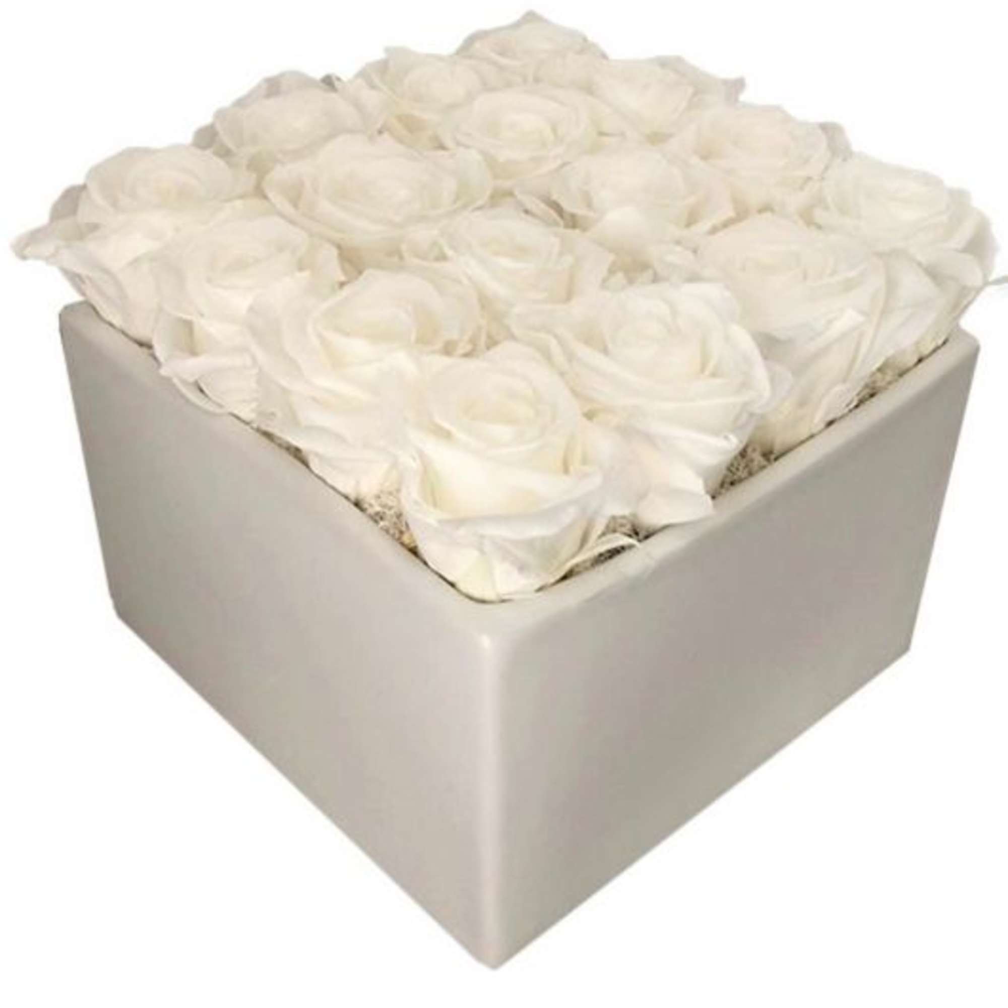 Sandy's Love Sandy's Love