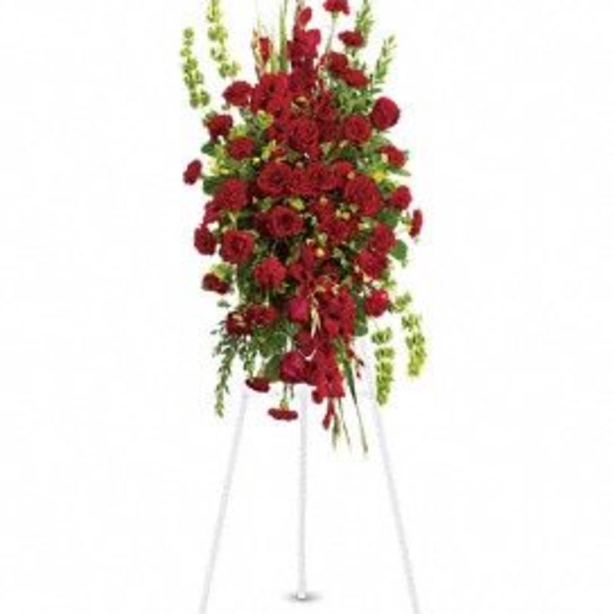 Care and Compassion Care and Compassion