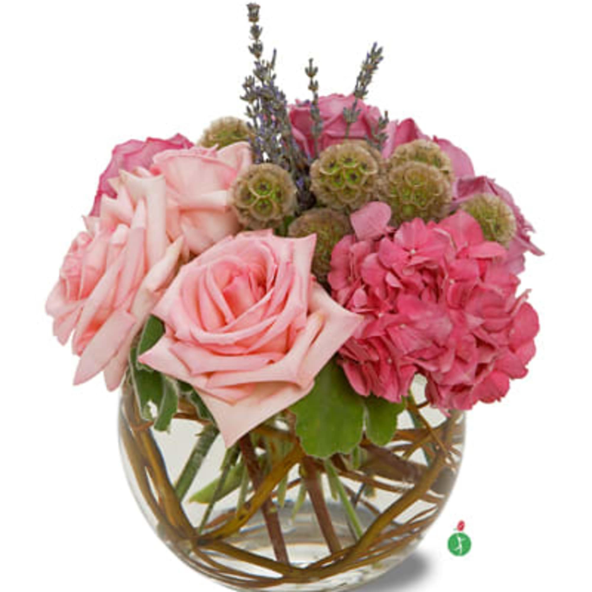 If you need a glamorous gift, look no further than this precious If you need a glamorous gift, look no further than this precious
