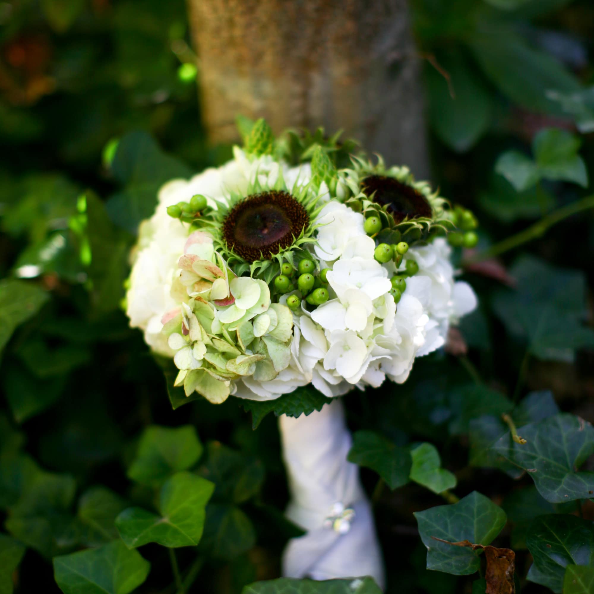 This bouquet has a Antique Hydrangea, White, Ranunculus, Sunflowers that we pulled