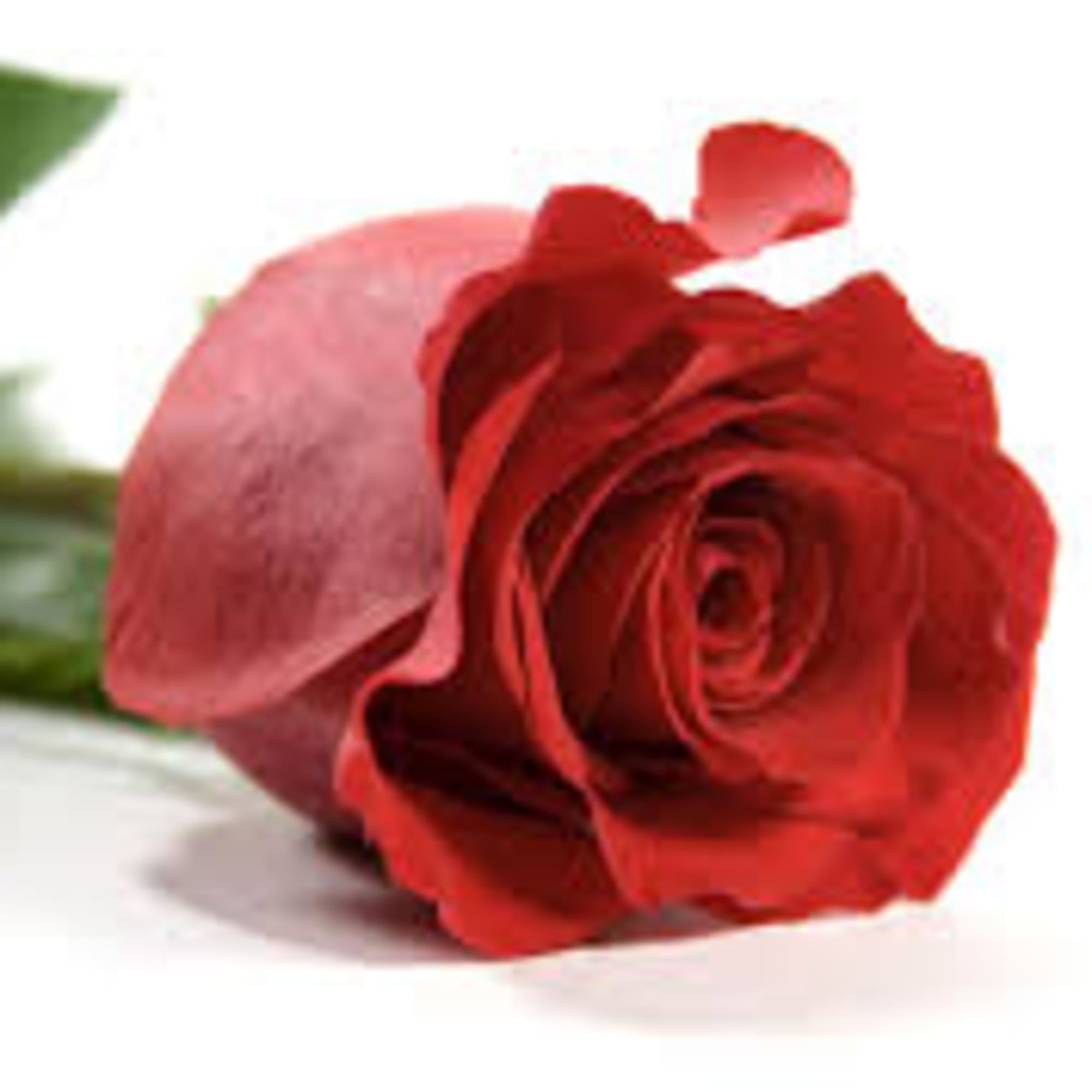 With a mixture of roses, asters, other flowers along with some bling