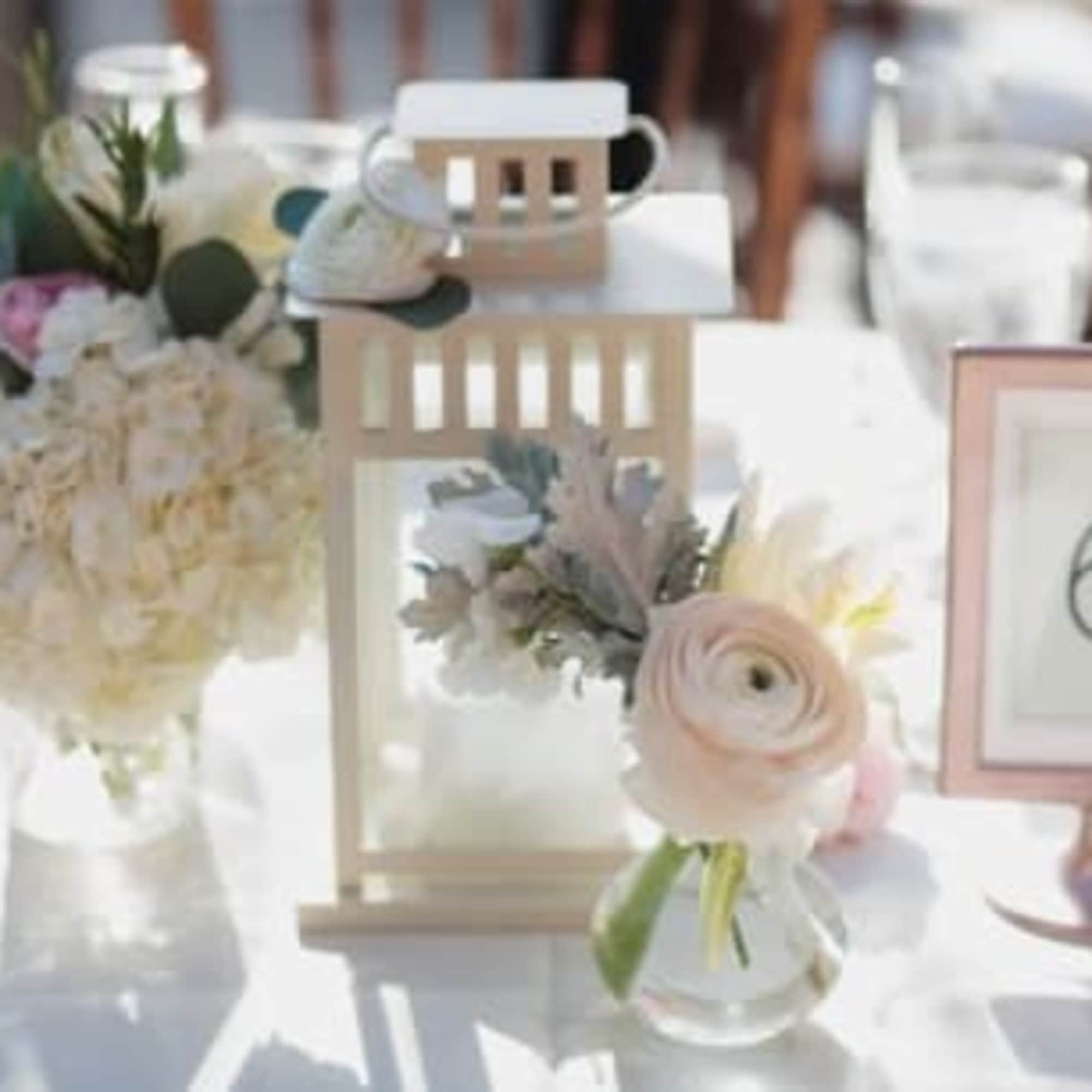  tour choice of colors