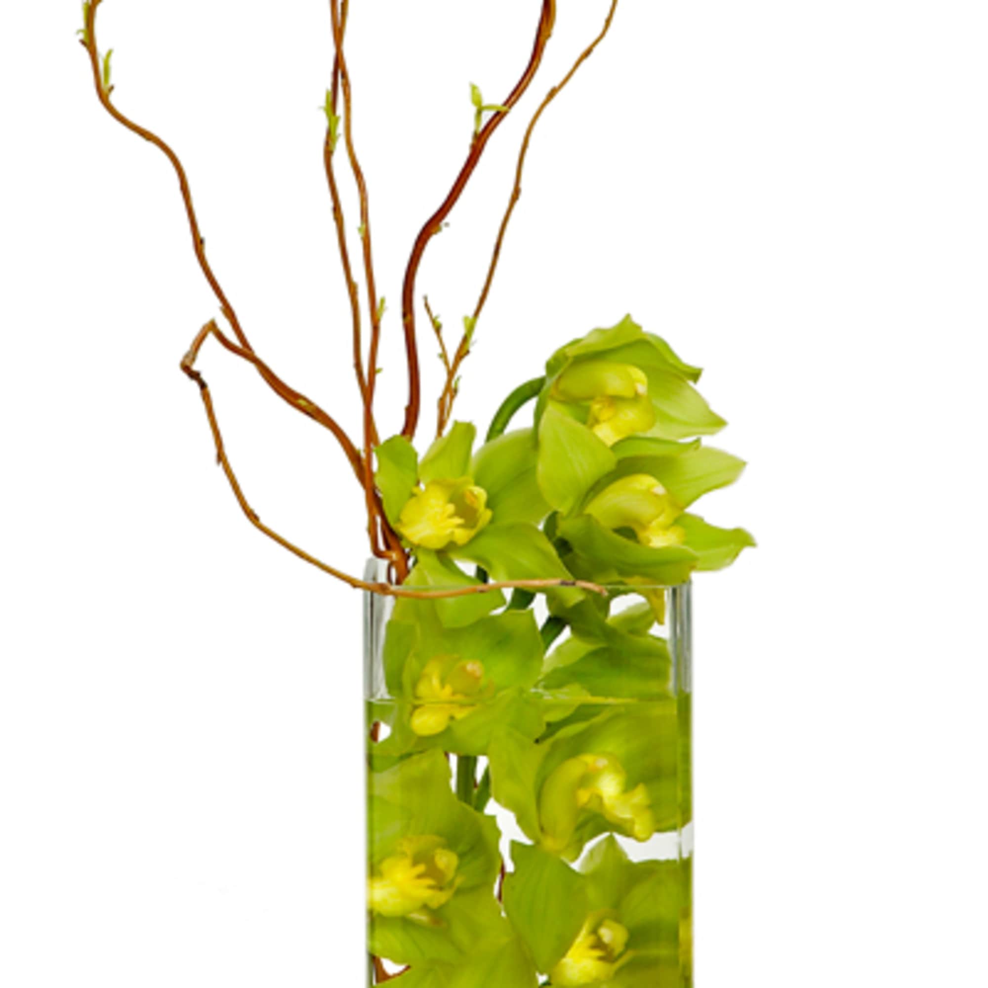 Submerging orchids in water is a clear and beautiful way to display Submerging orchids in water is a clear and beautiful way to display