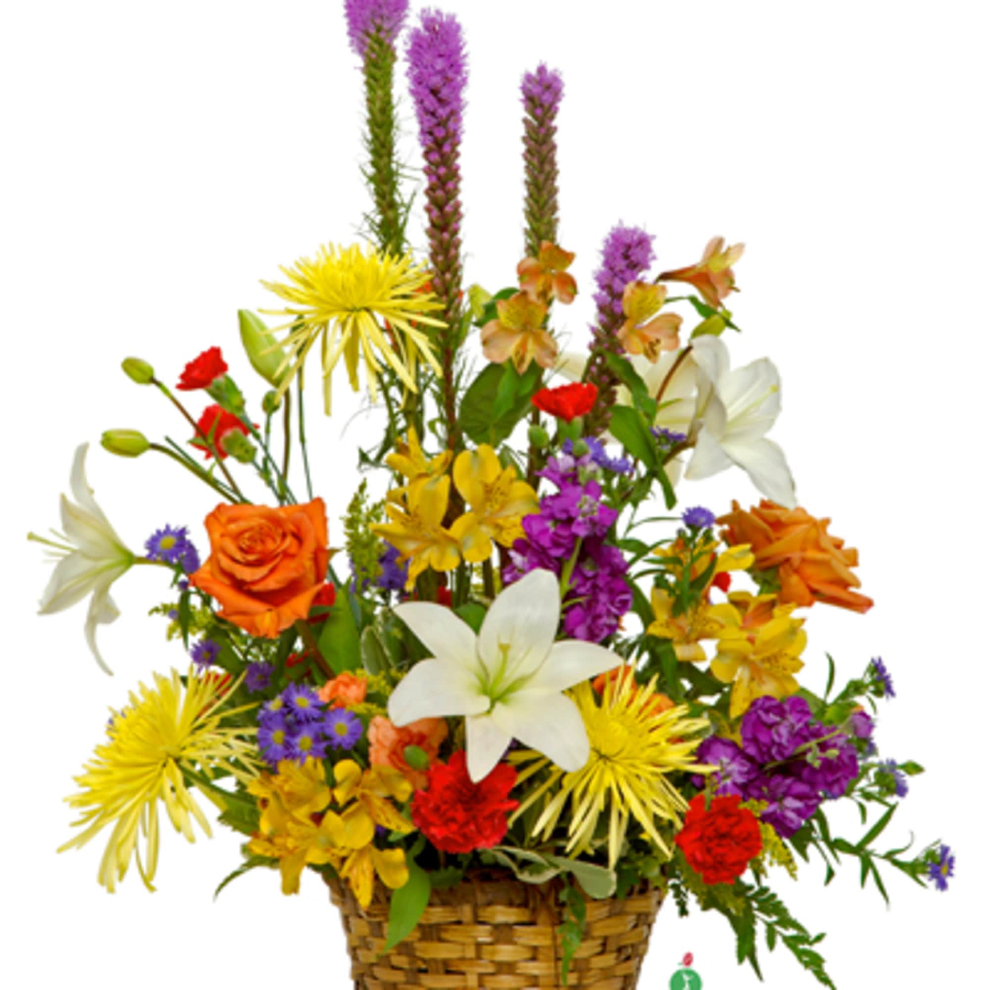 For a truly wonderful celebration, choose this big, bold and colorful flower