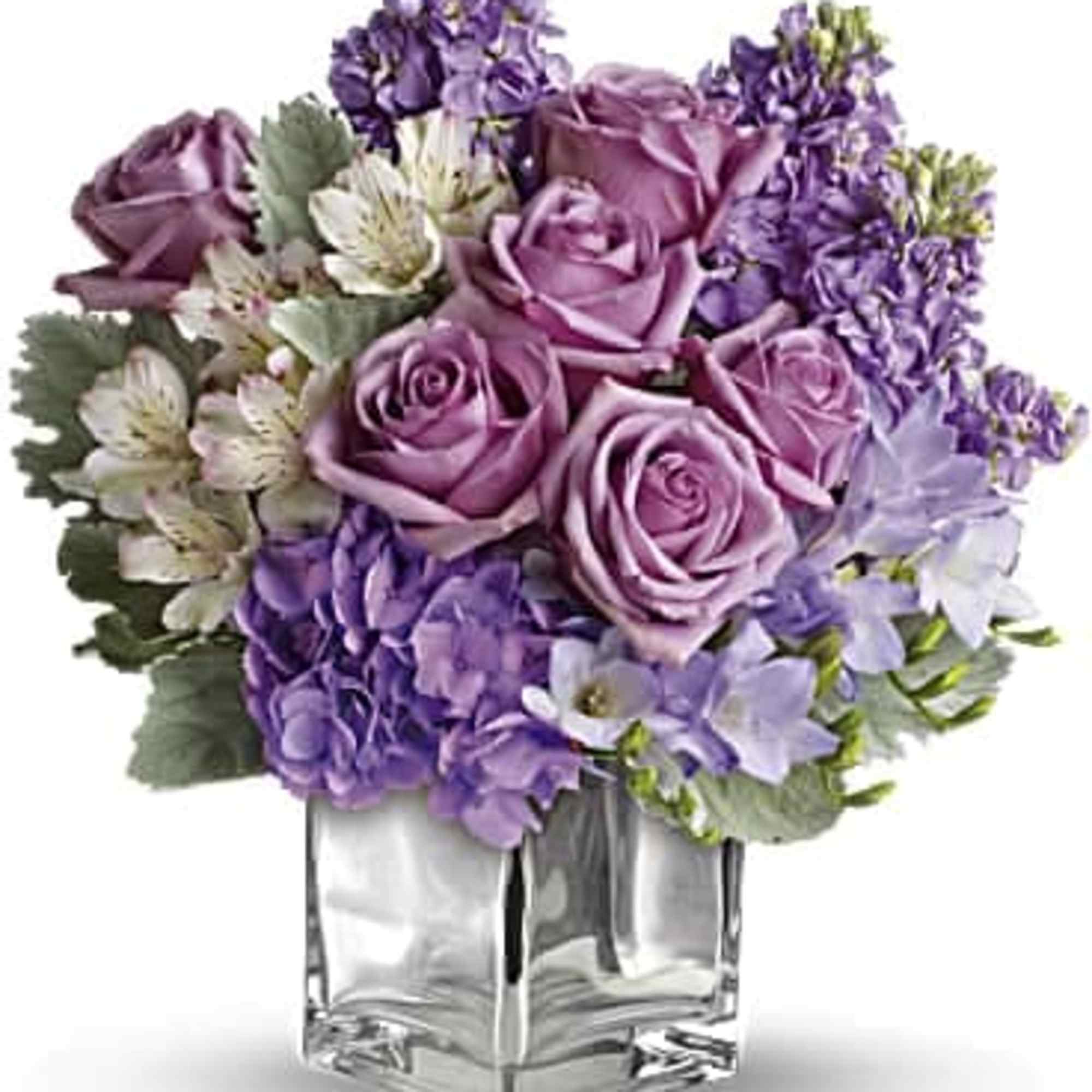 Robust roses, delicate hydrangea and feminine stock make a cool collection inside