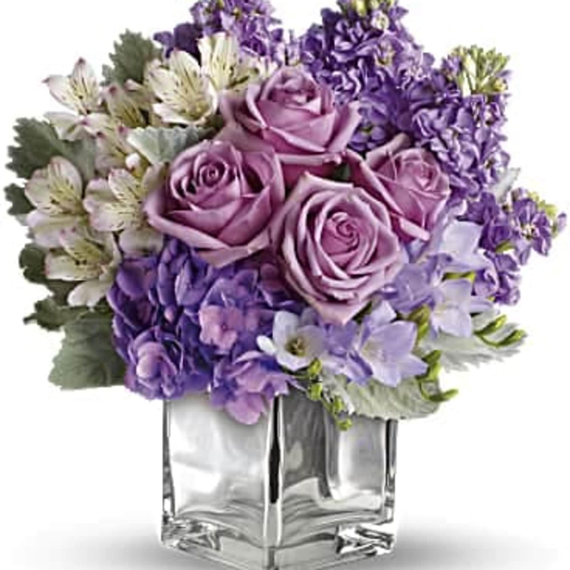 Robust roses, delicate hydrangea and feminine stock make a cool collection inside