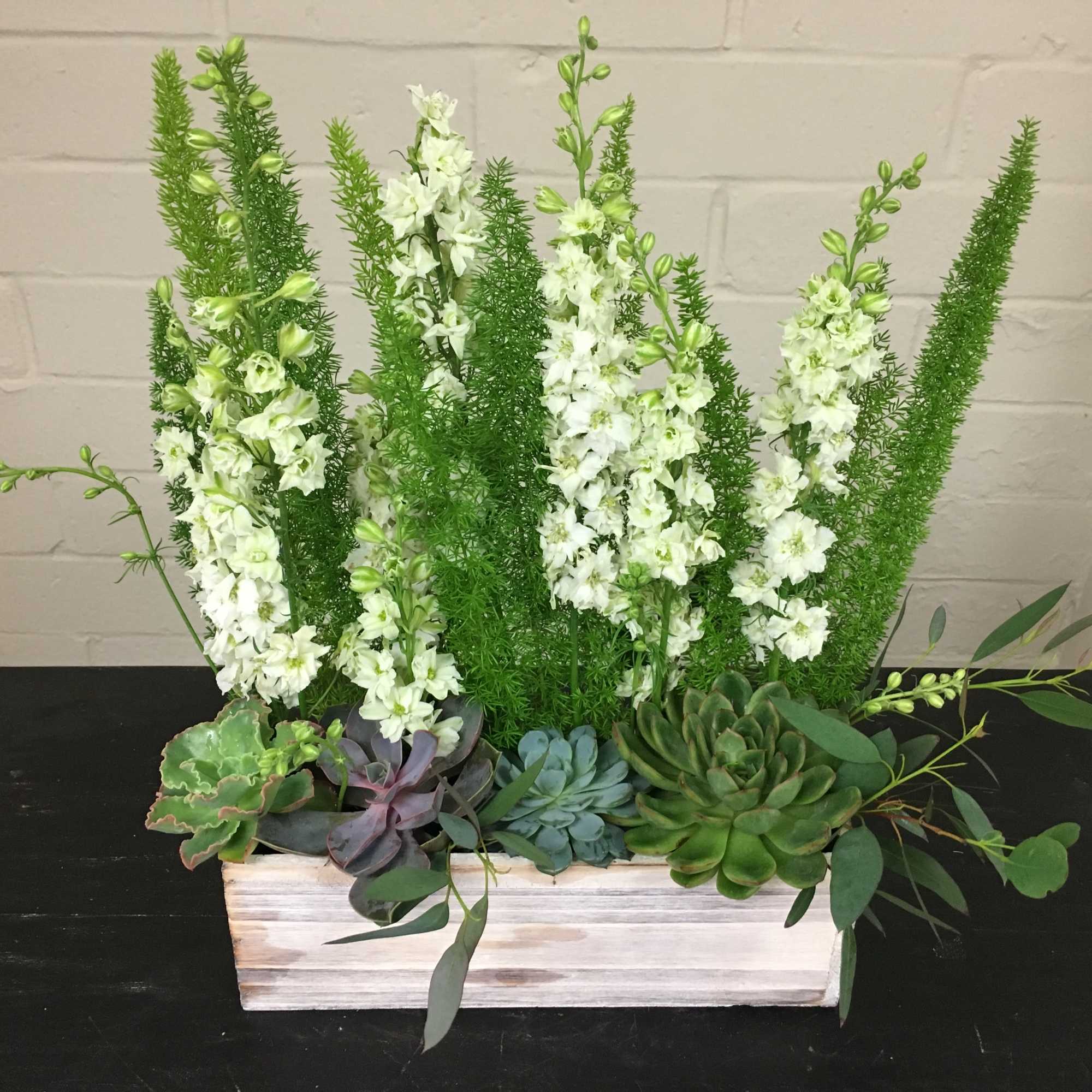 Approx Dimension:  12L x 4W x 18H  Lush green arrangement