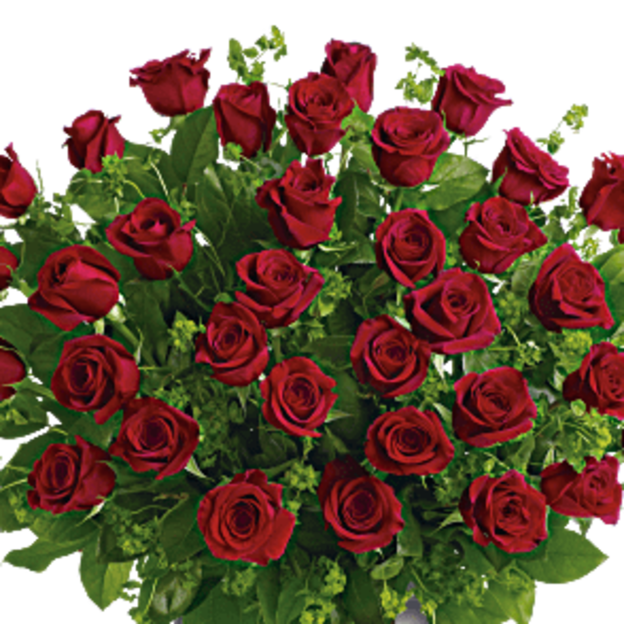 Exquisite Premium Long Stemmed Red Roses  12 stems, 24 stems, or