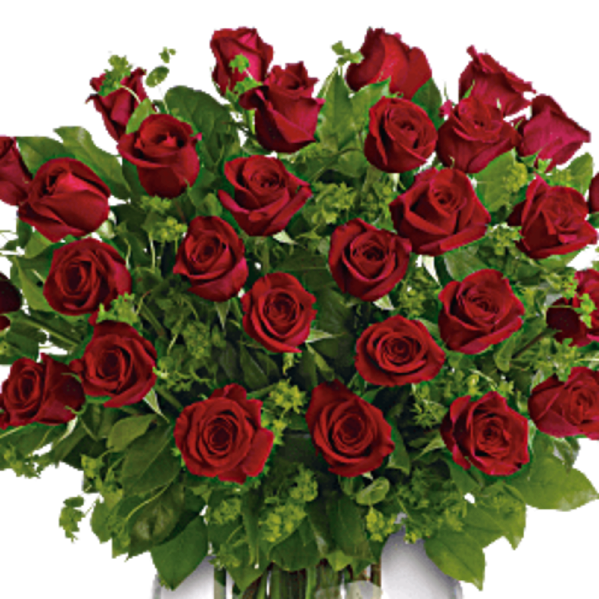 Exquisite Premium Long Stemmed Red Roses  12 stems, 24 stems, or