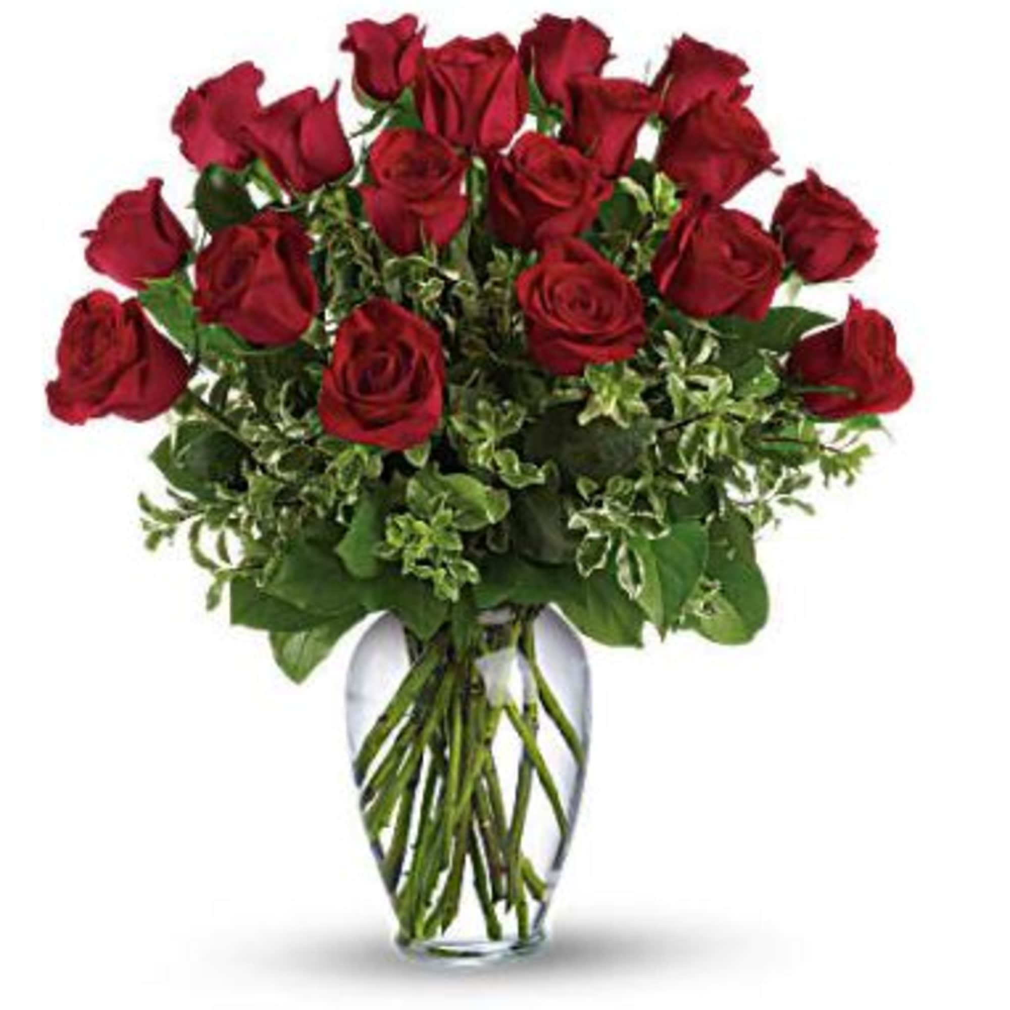 A dozen gorgeous red roses are the perfect romantic gift to send A dozen gorgeous red roses are the perfect romantic gift to send