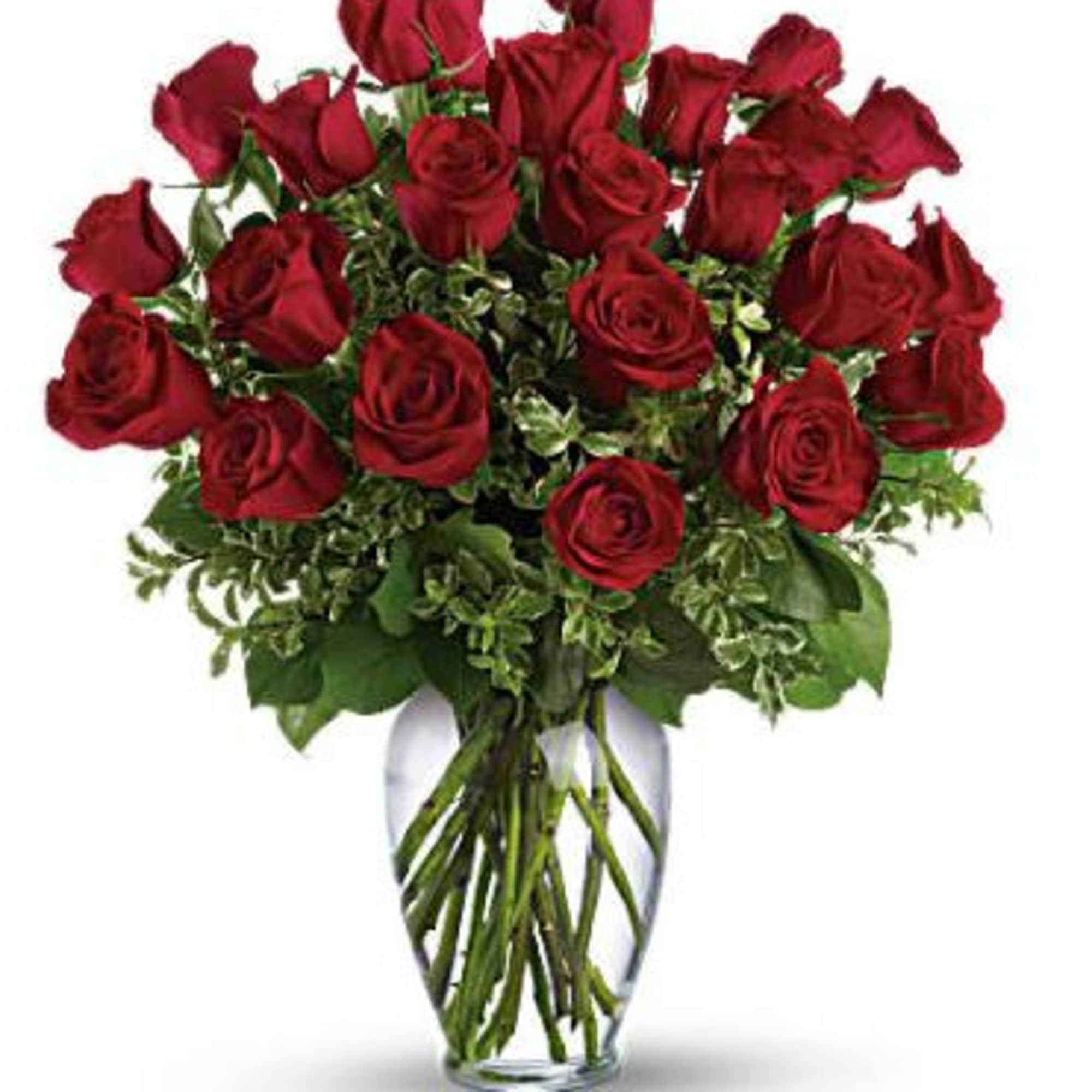 A dozen gorgeous red roses are the perfect romantic gift to send A dozen gorgeous red roses are the perfect romantic gift to send