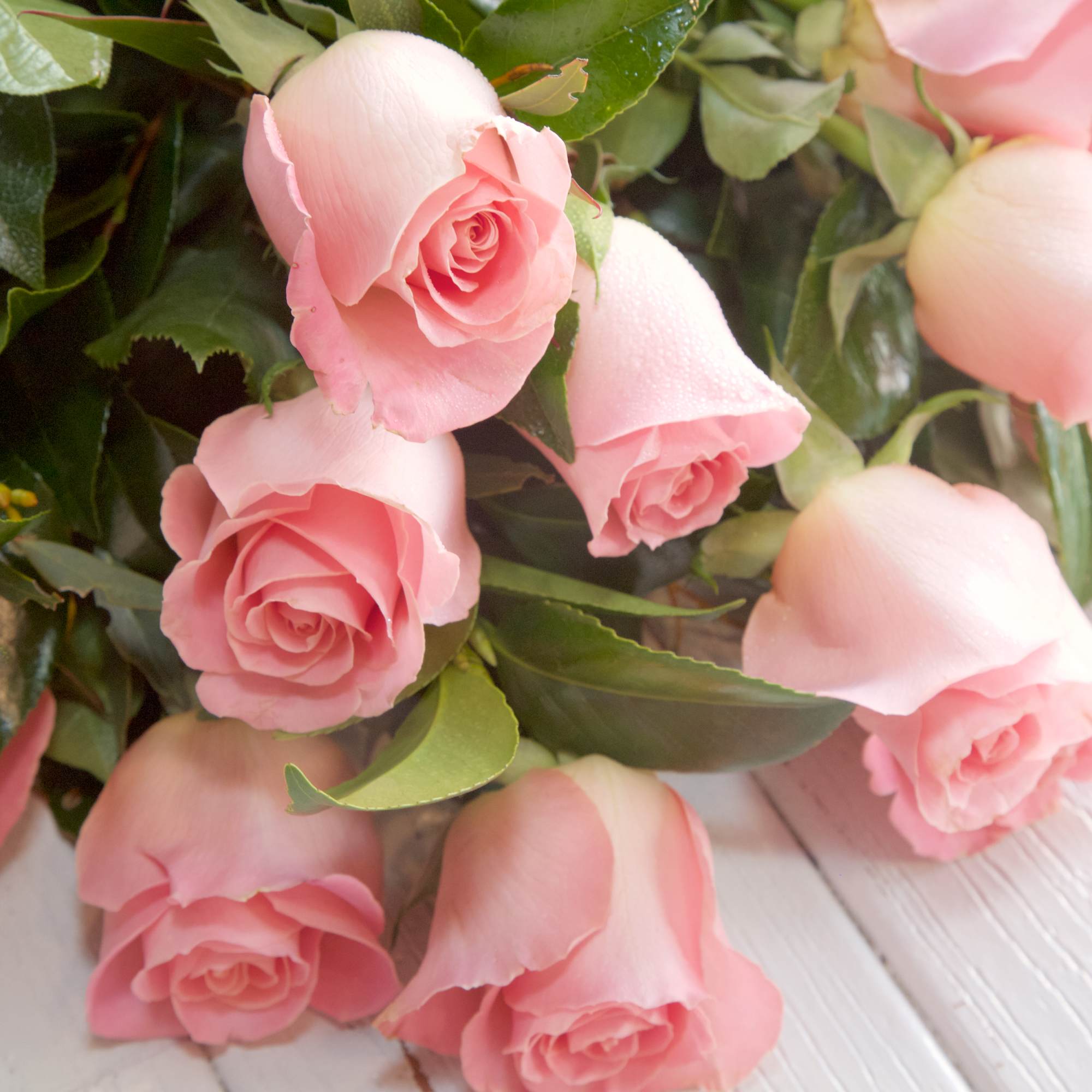 You&#039;ll never go wrong with this ever-appropo Wrapped Bouquet of one dozen