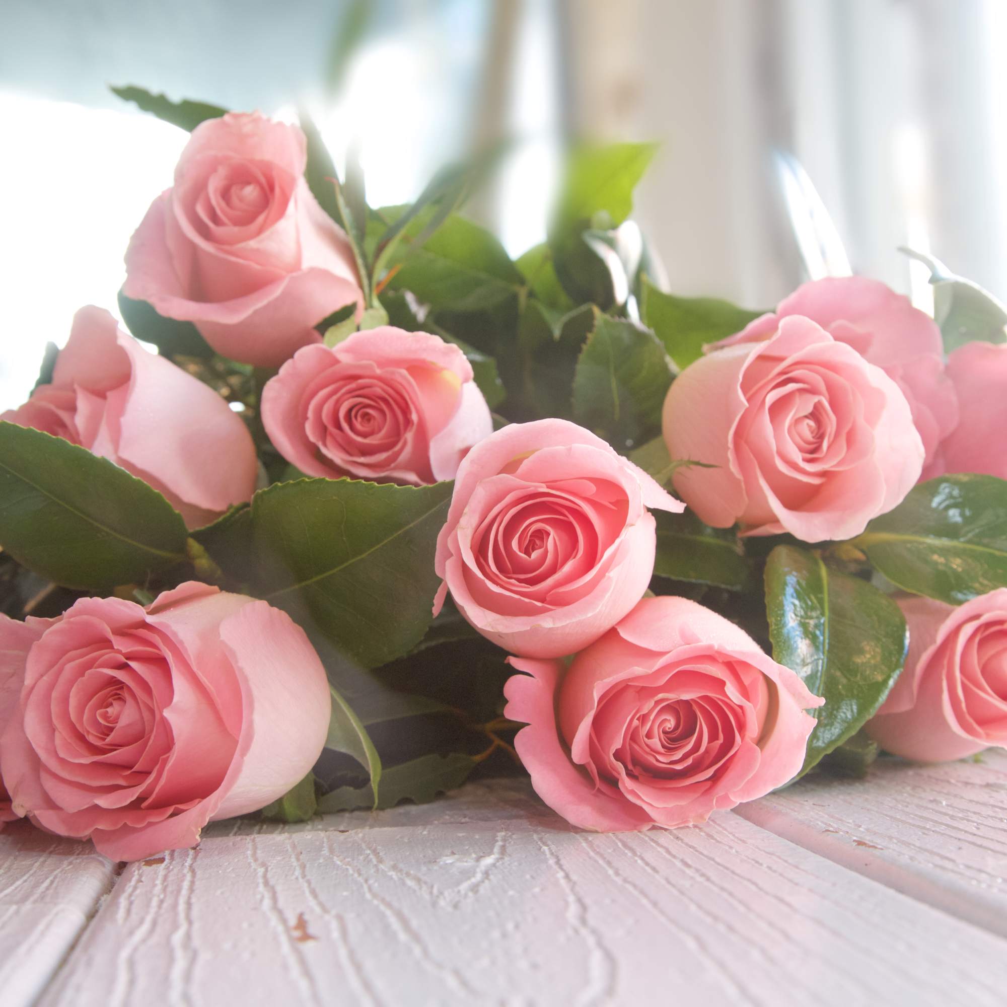 You&#039;ll never go wrong with this ever-appropo Wrapped Bouquet of one dozen