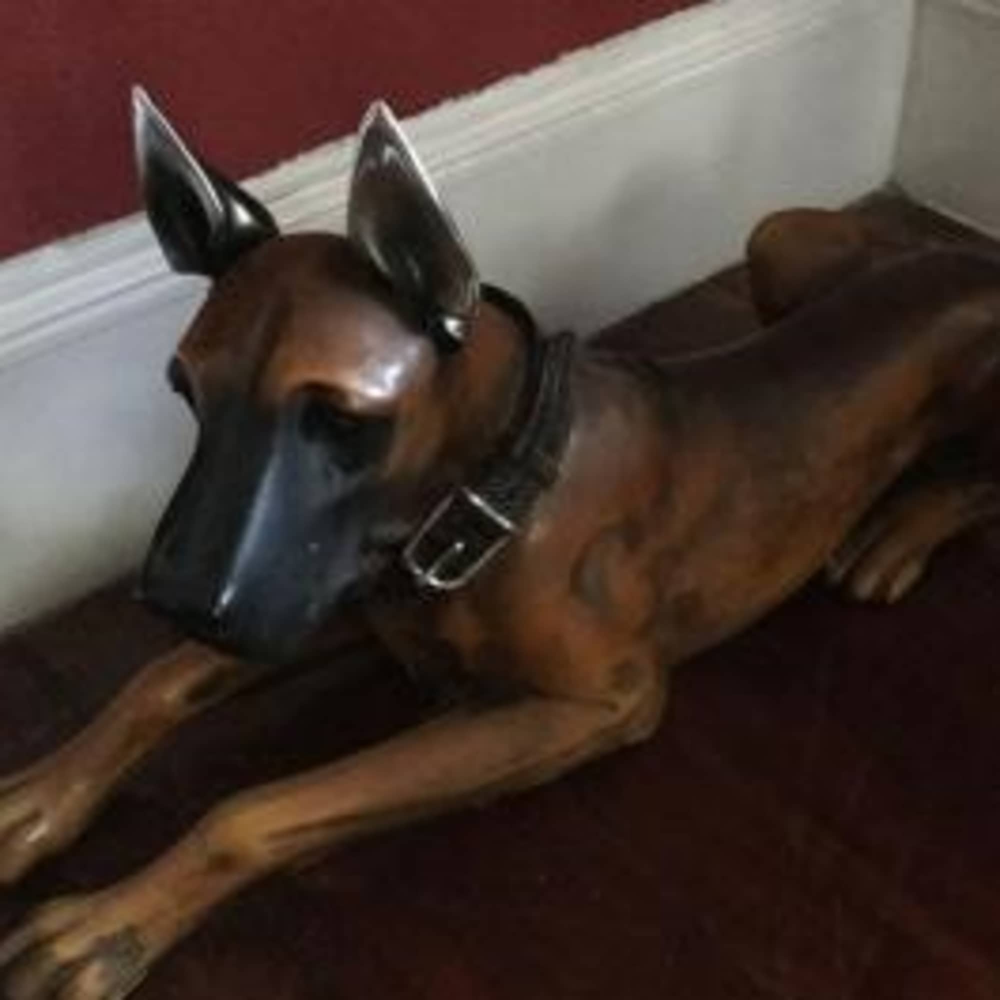 Our life size, life like DOBERMAN PINSCHER STATUE  needs a new