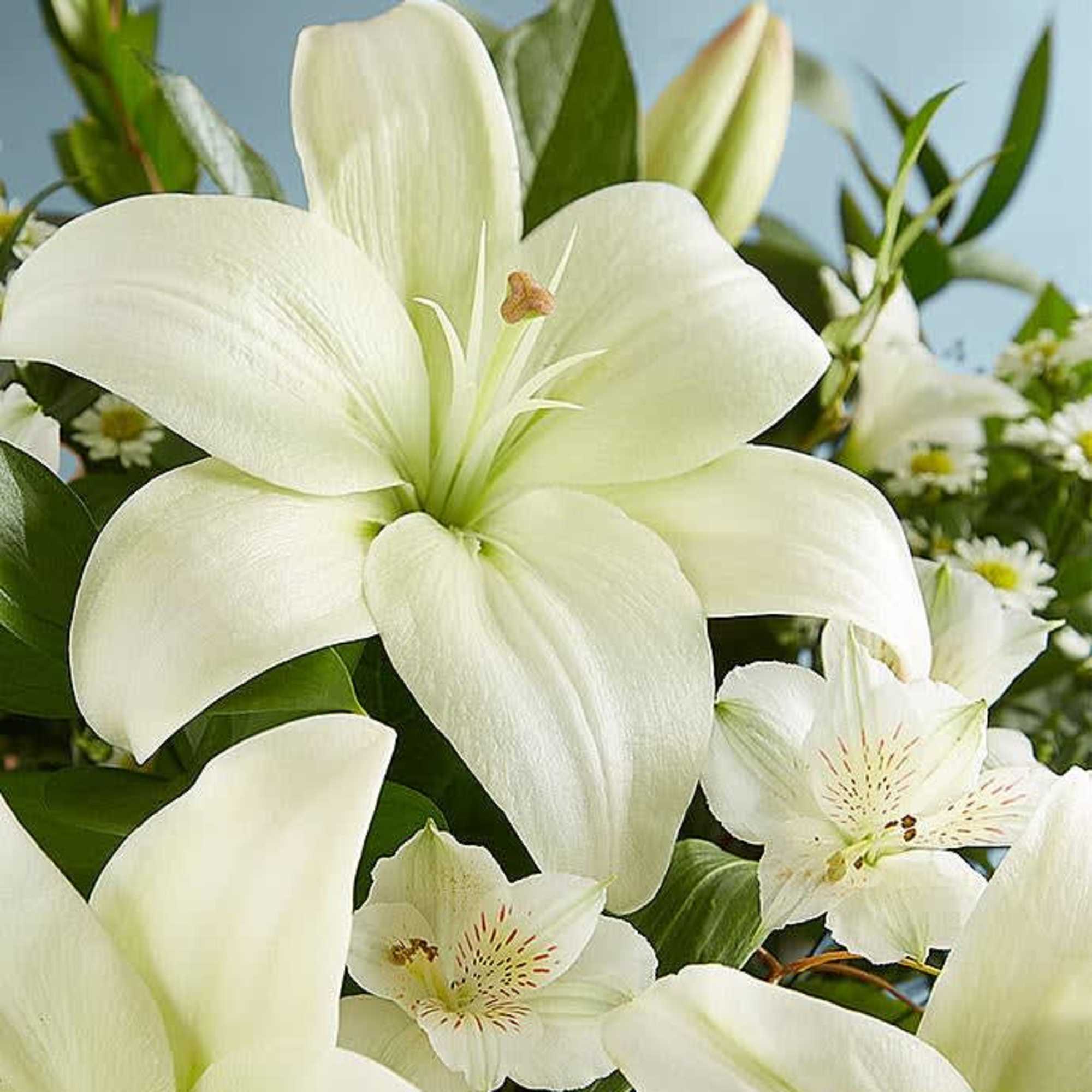 Blissful winter beauty in a bouquet. Designed in partnership with Real Simple