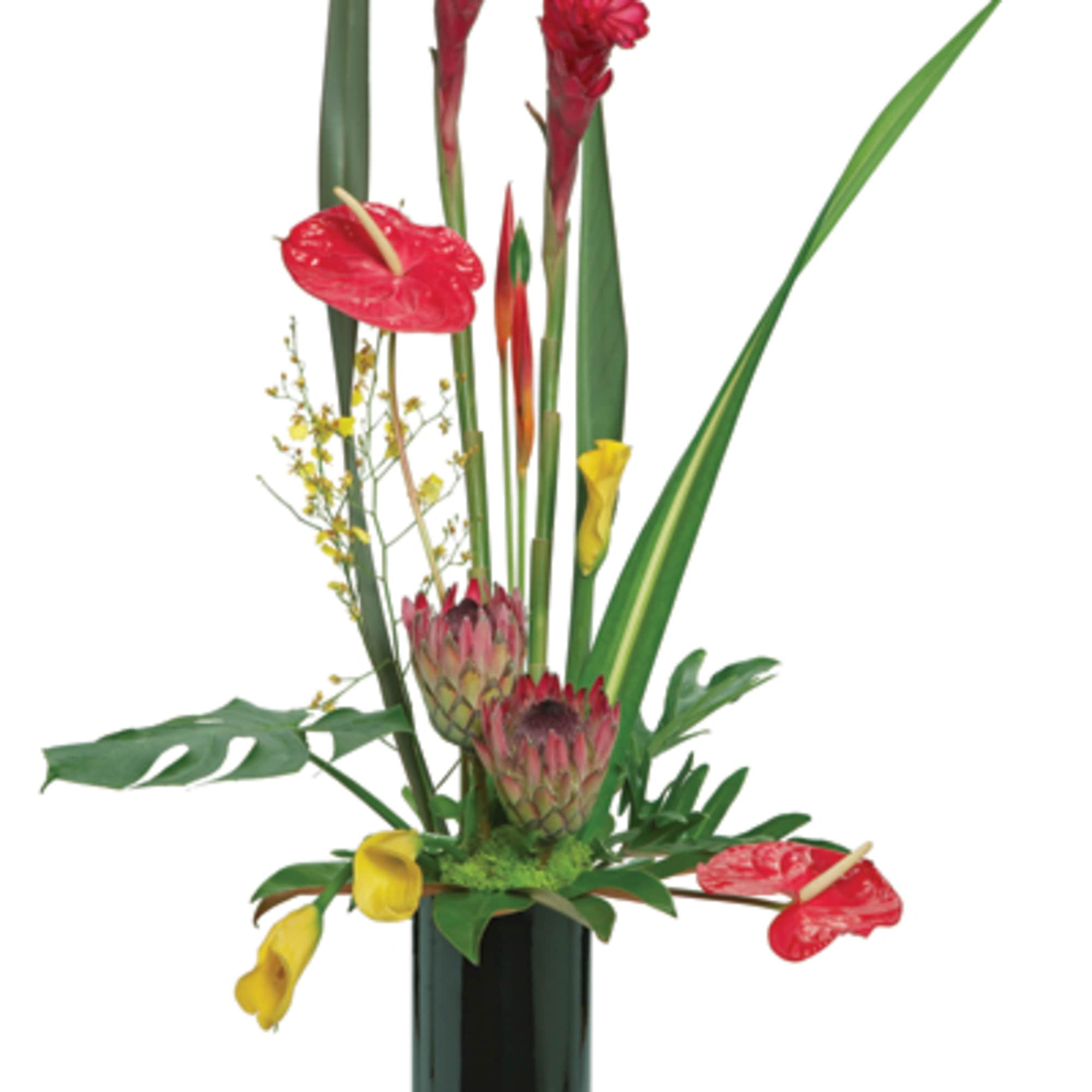 For an eye-catching presentation, choose this stunning modern arrangement of ginger, anthurium For an eye-catching presentation, choose this stunning modern arrangement of ginger, anthurium