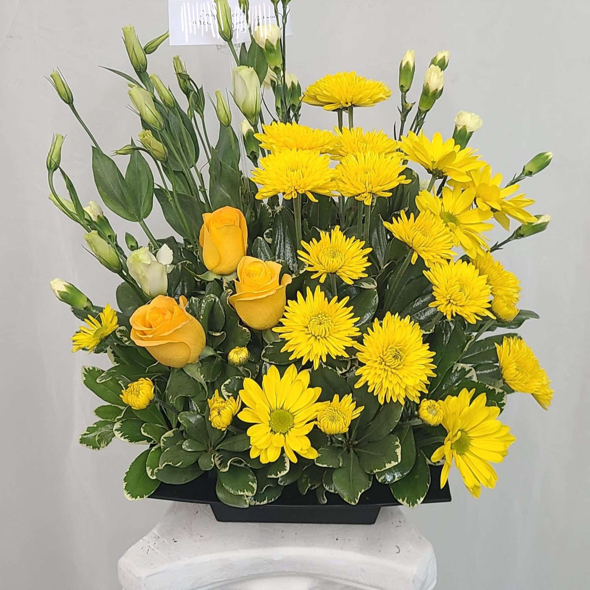 For birthdays, get well or &quot;just because you&#039;re special&quot; greetings, our sunny