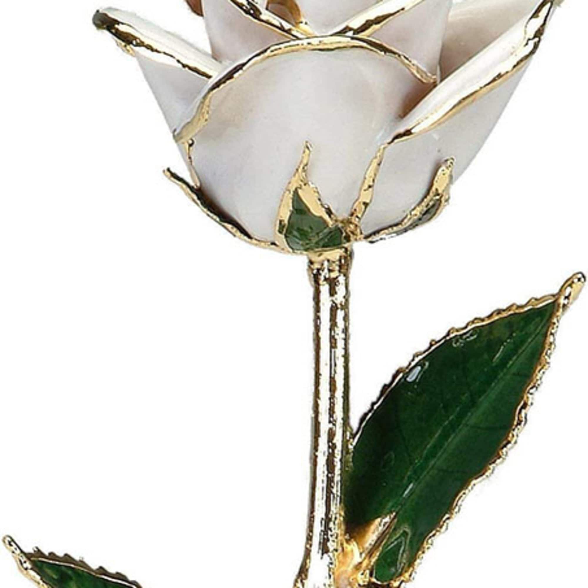 This is a real rose (12") preserved in lacquer and trimmed in This is a real rose (12") preserved in lacquer and trimmed in